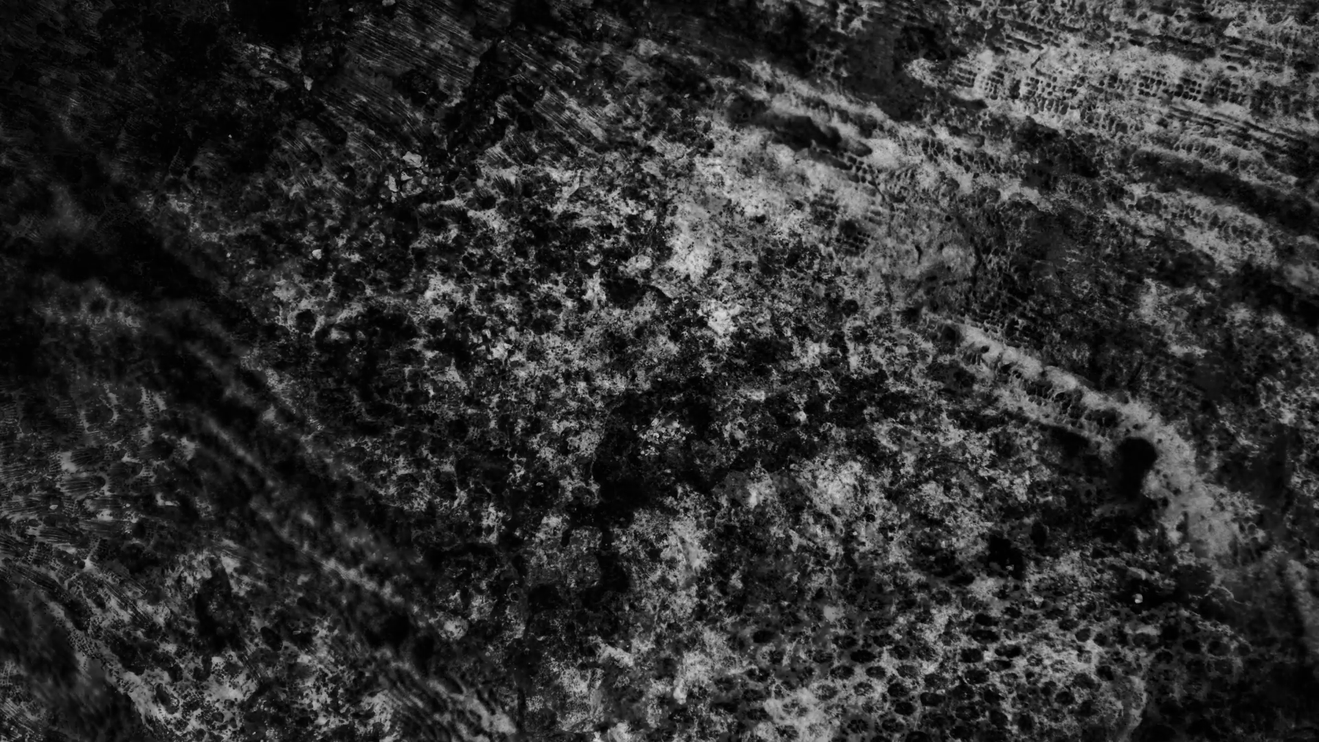 Black and White Grunge Texture Looping Background Motion Background ...