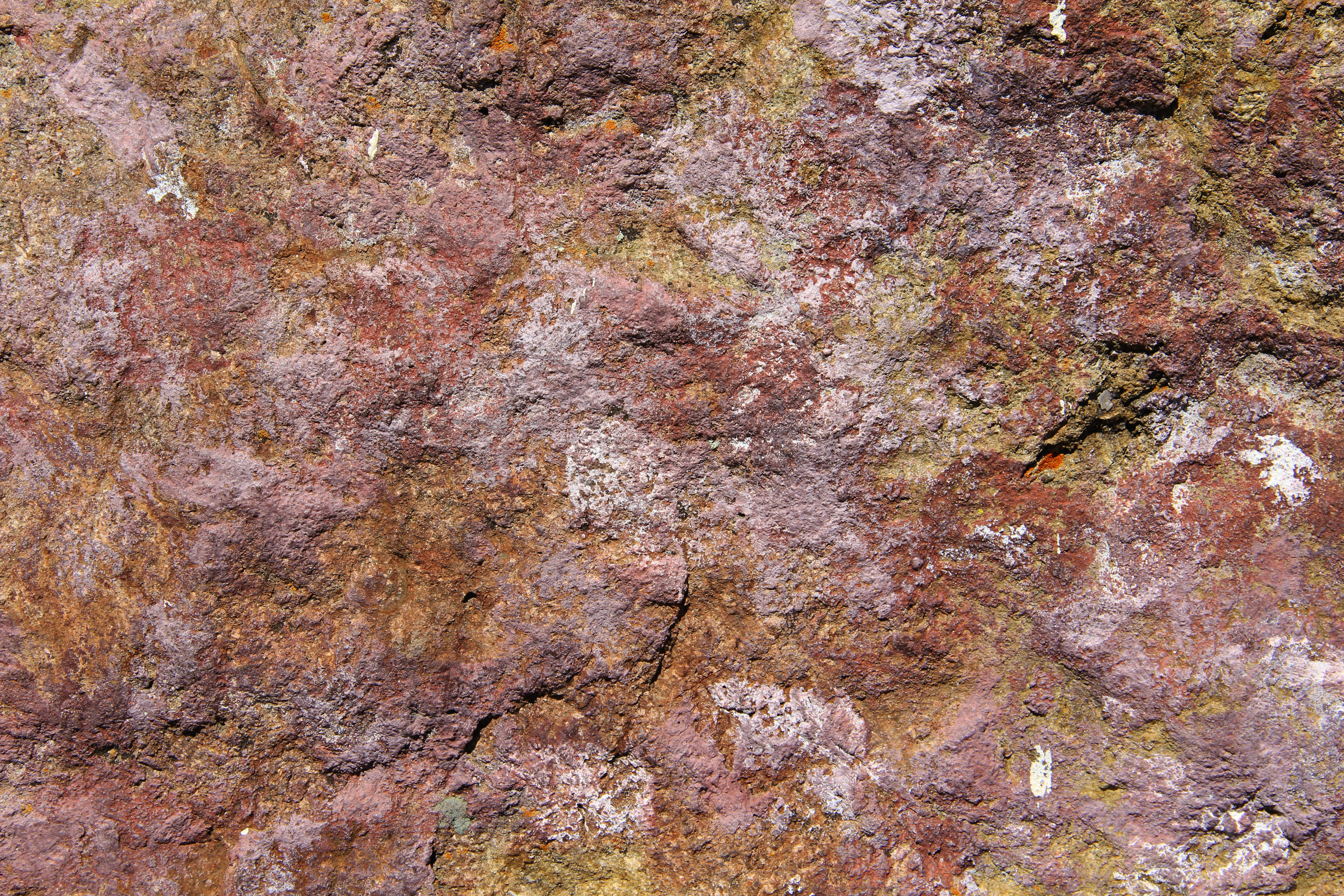 Texturex stone rock boulder stock red green algae rough city Texture ...