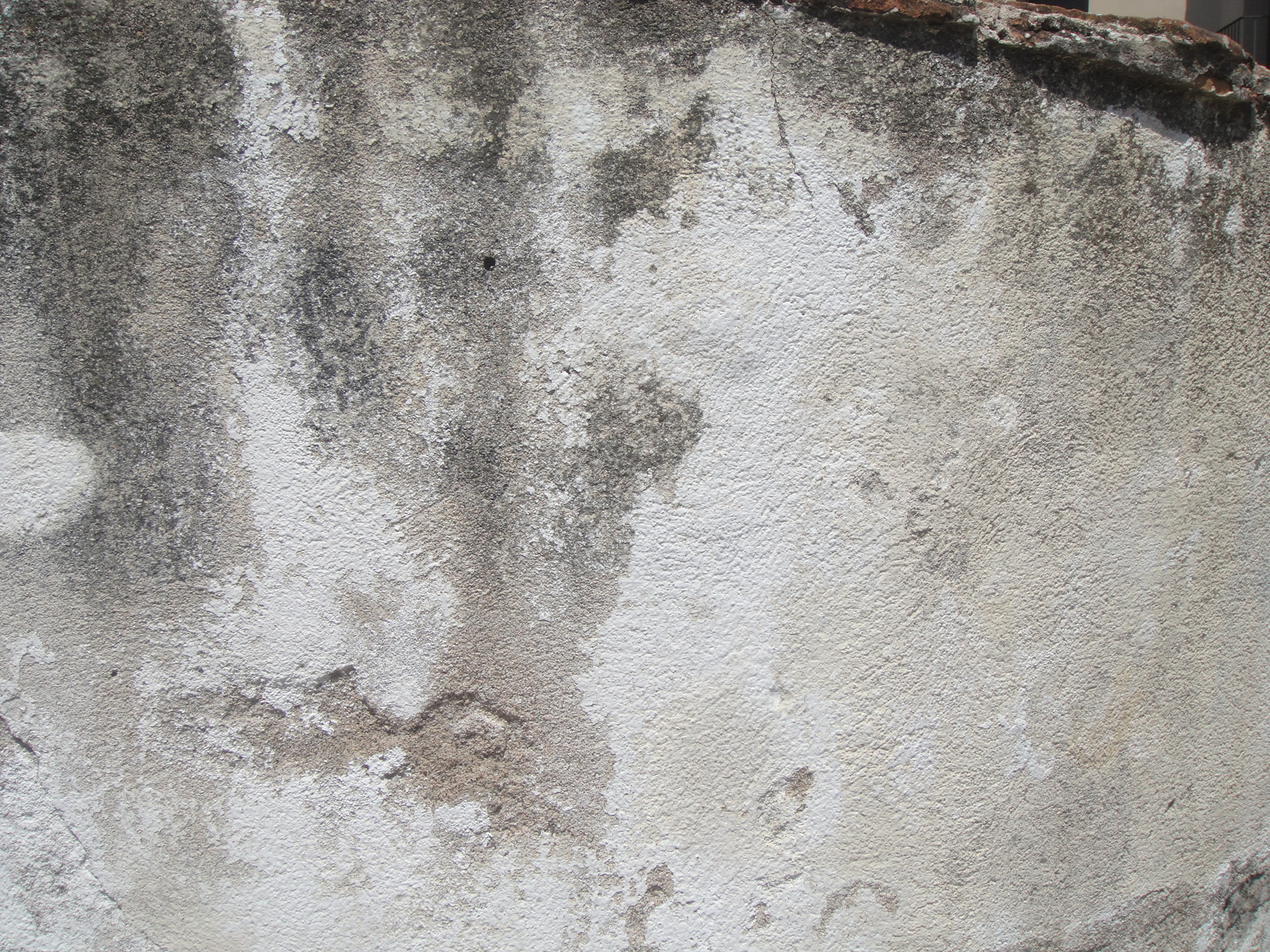 Grunge concrete wall photo