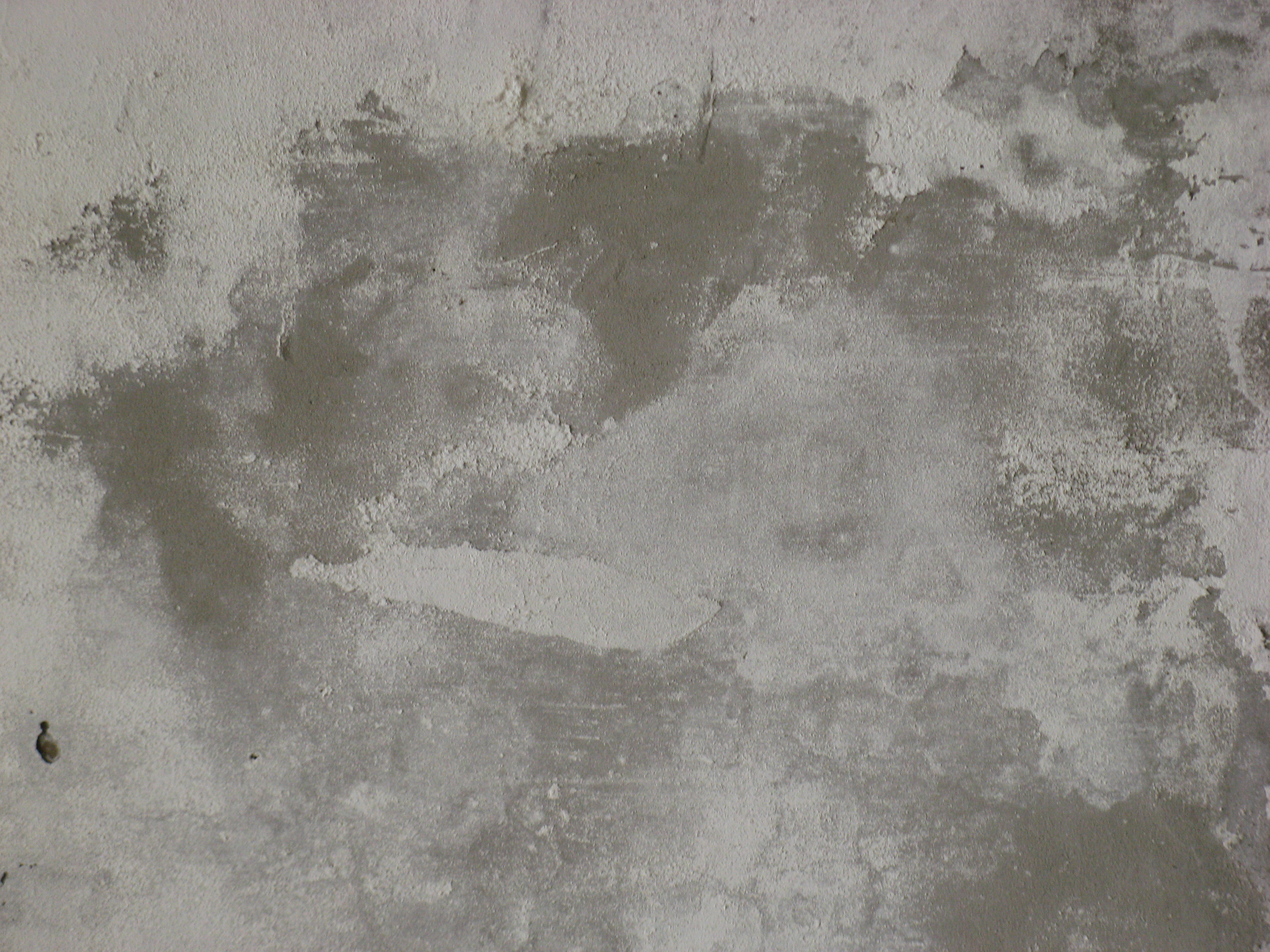 Grunge concrete wall photo