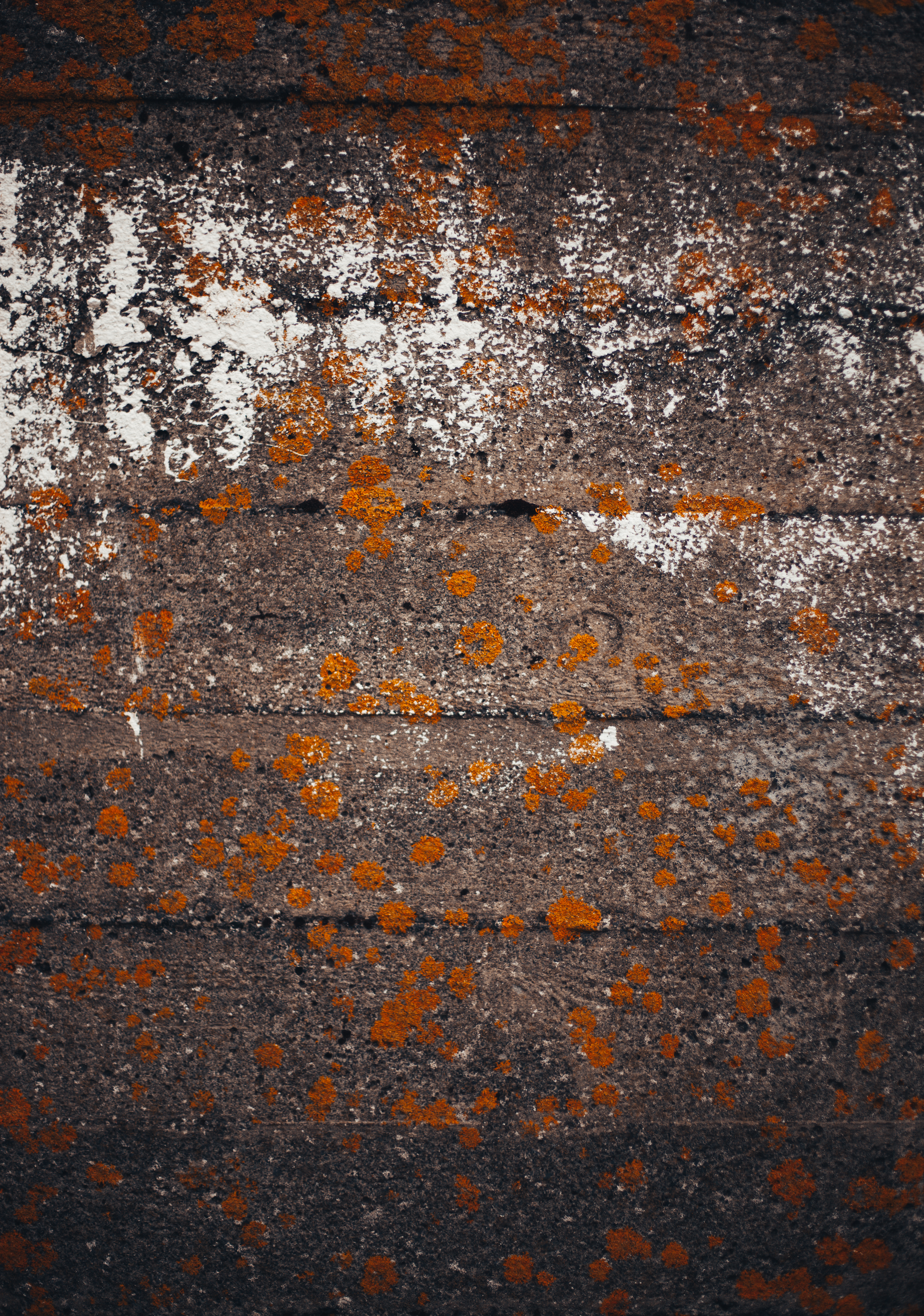 Grunge Concrete Wall Background, Concrete, Damaged, Details, Grunge, HQ Photo