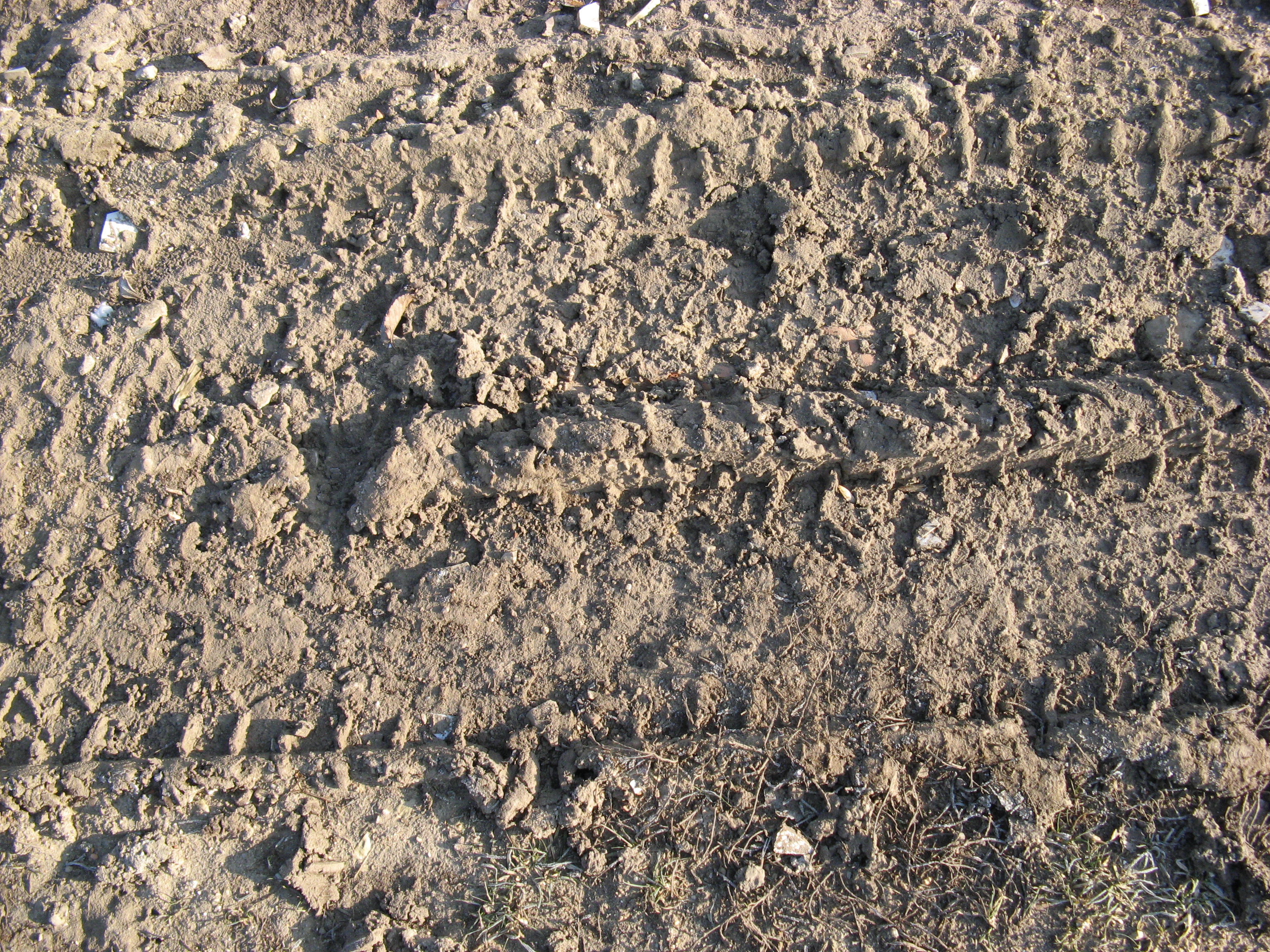 Free Ground texture (mud, soil, earth)