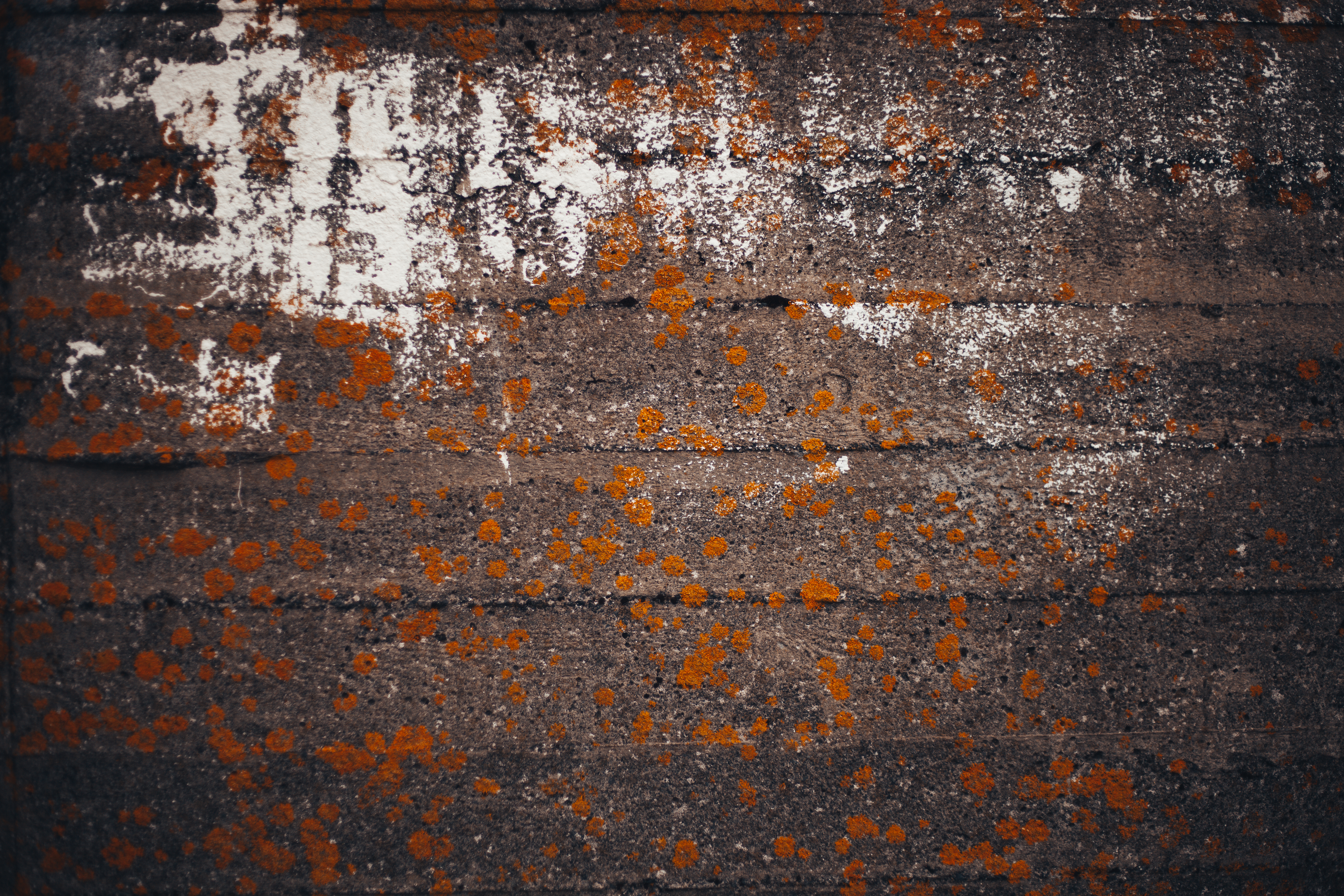 Grunge Old Concrete Wall Texture, Concrete, Damaged, Details, Grunge, HQ Photo