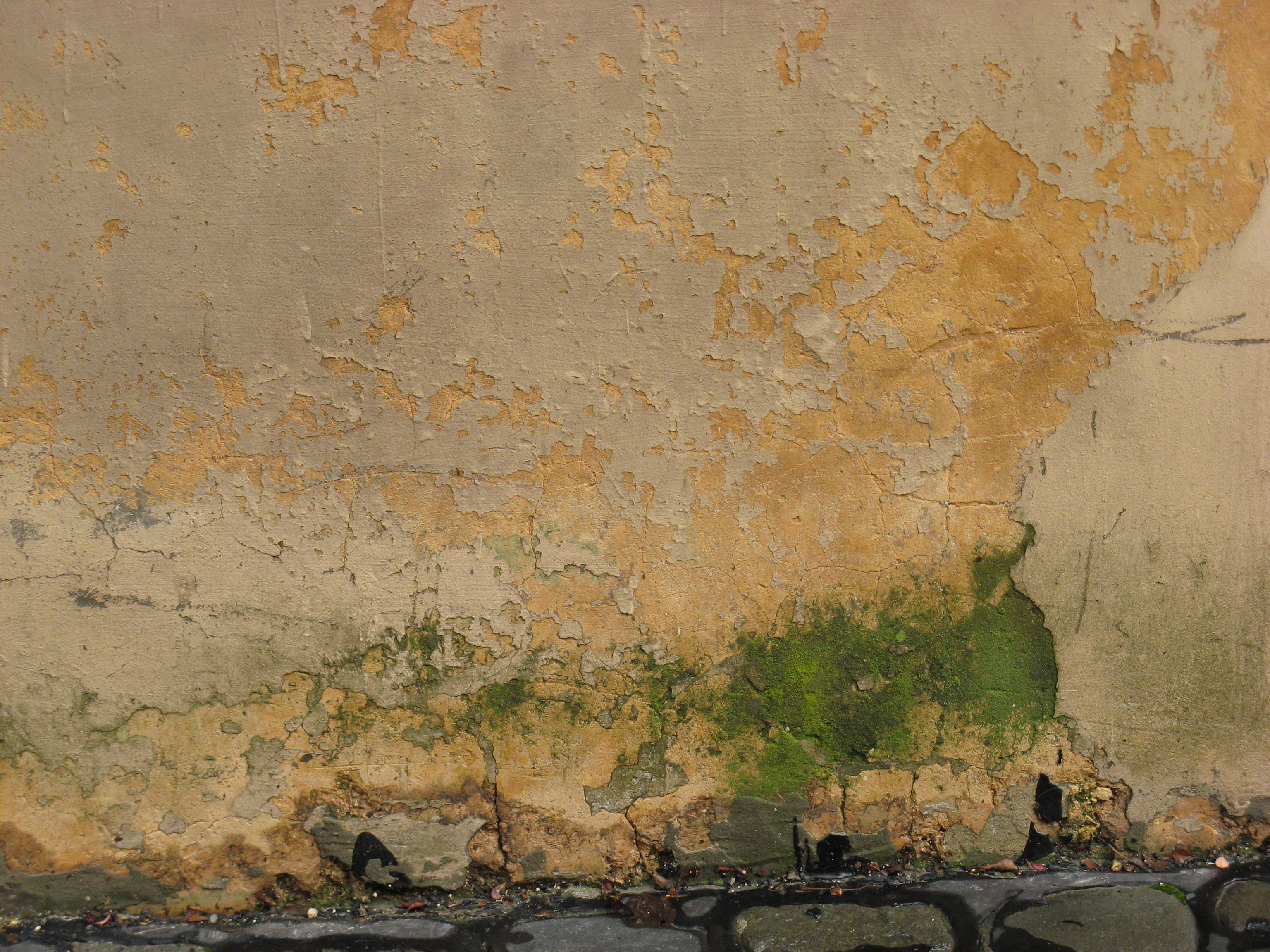 Free Grunge texture (peel, wall, paint)