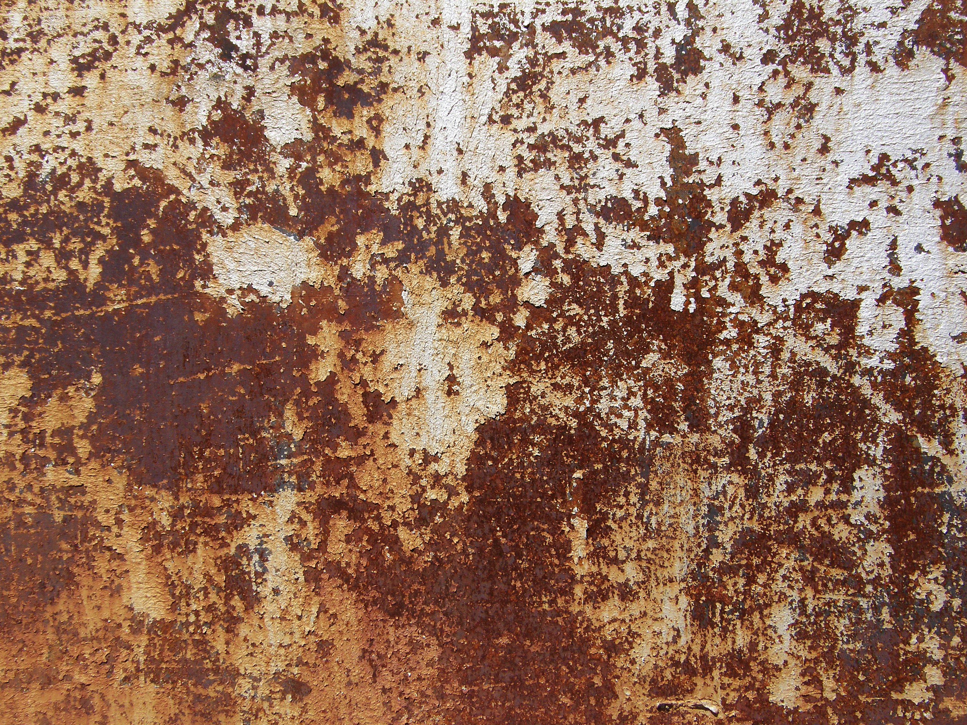 Can painted metal rust фото 55