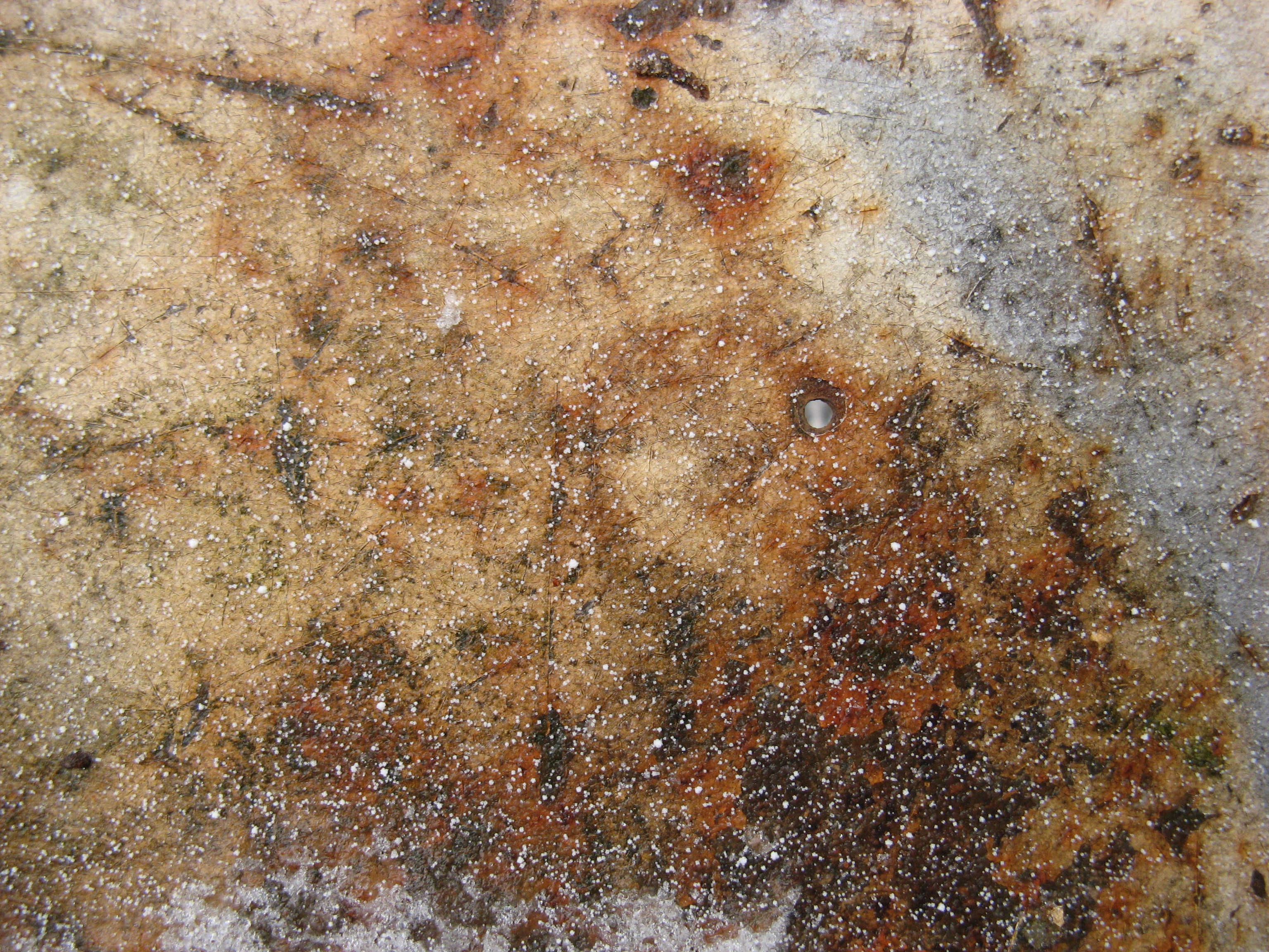 Free Grunge texture (metal, rust, snow)