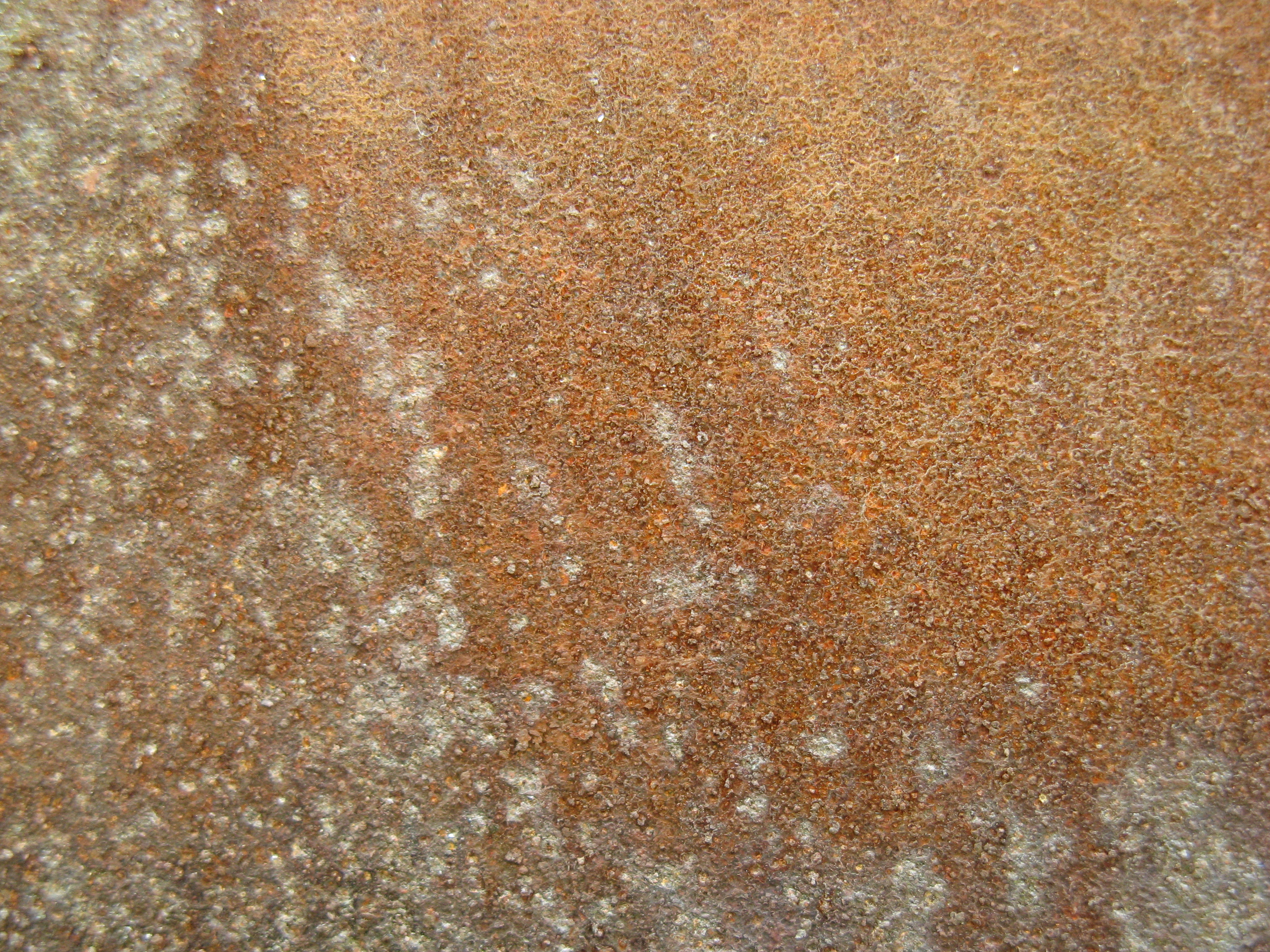 Free Grunge texture (rust, metal, brown)