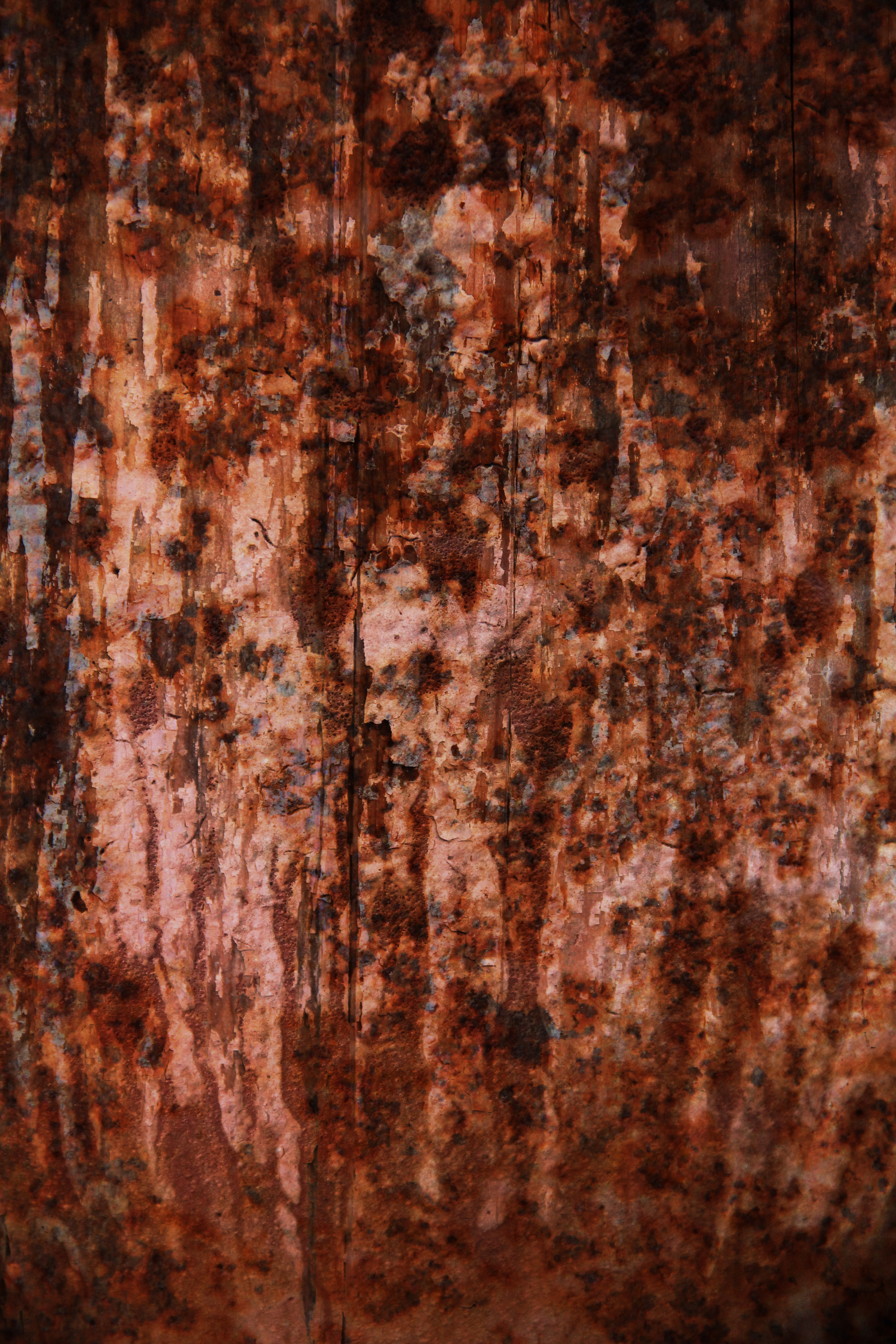 grunge texture horror ugle rough surface background red rust ...