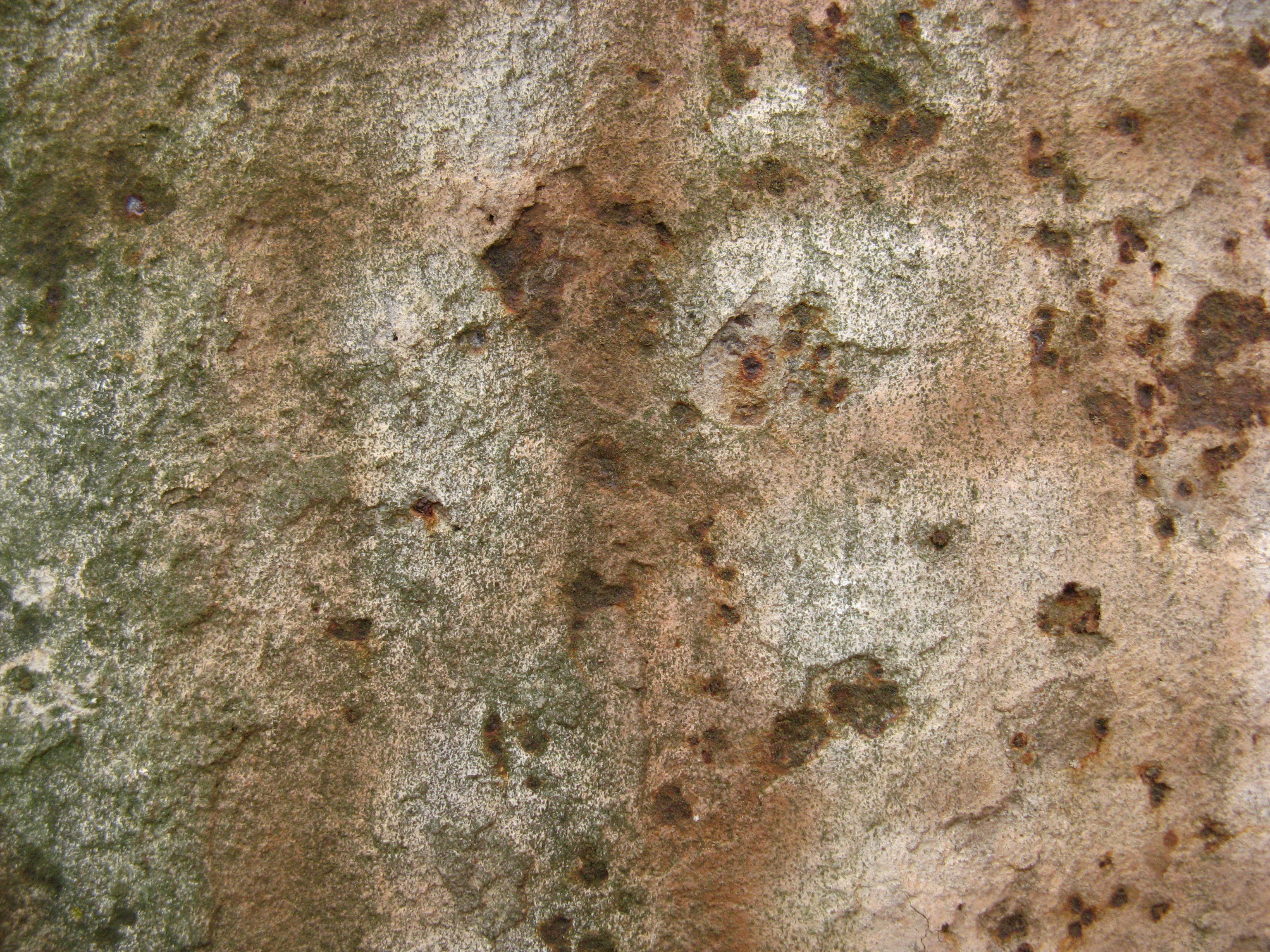 Free Grunge / Rust texture (concrete, dot, corrosion)
