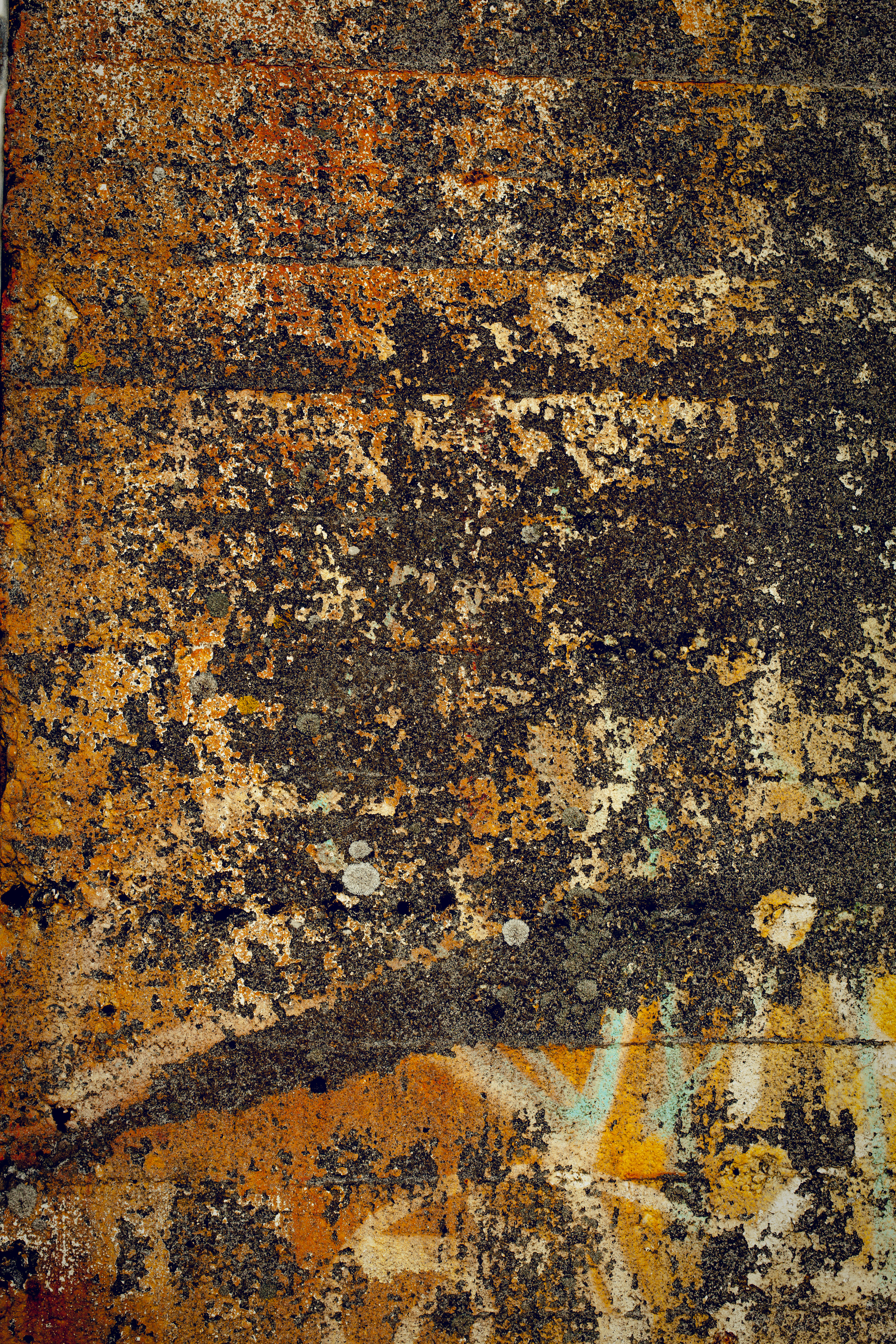 Yellow Grunge Concrete Textures | Freebies | Stockvault.net Blog