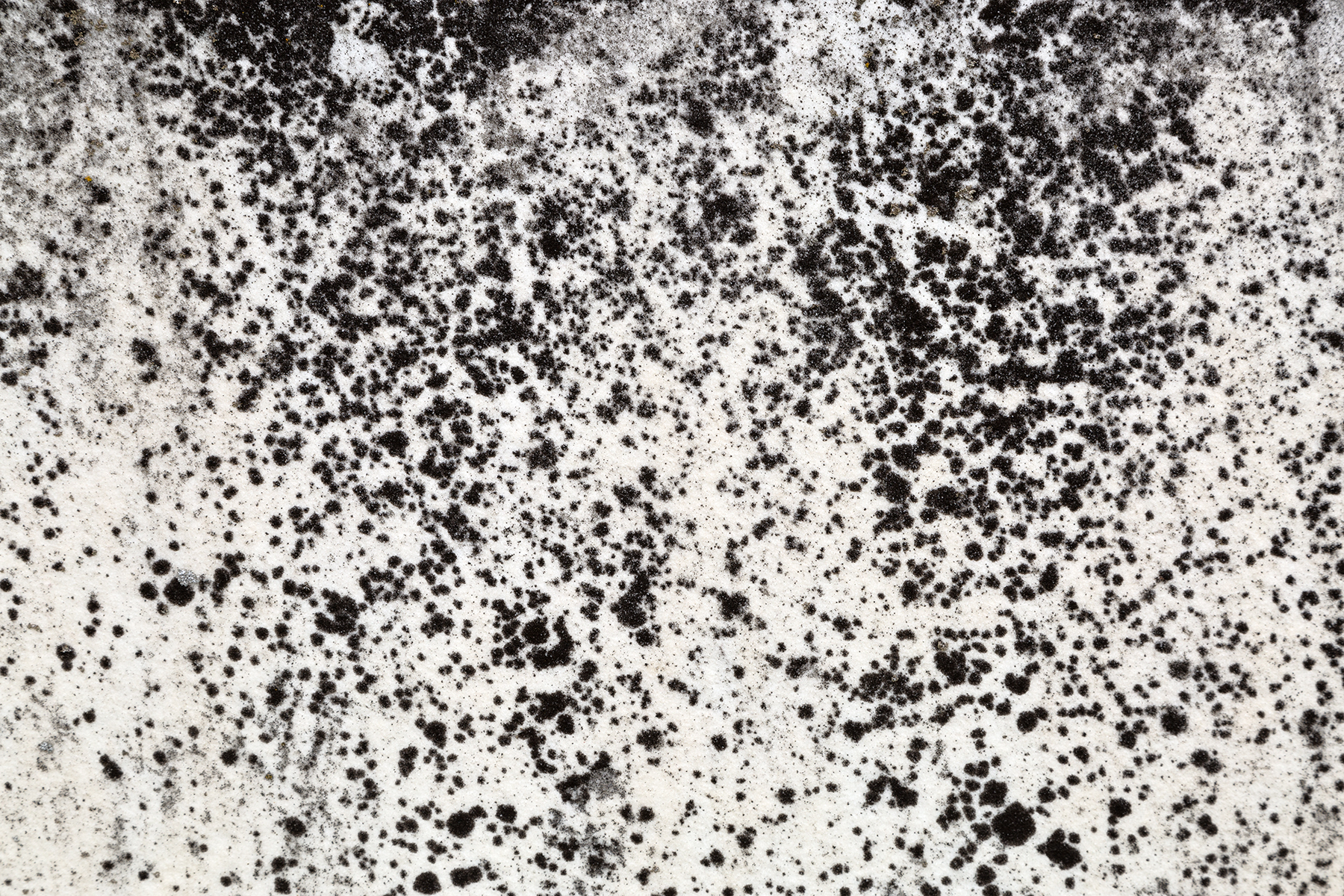 Grunge Stone Texture - HDR, Age, Mold, Raw, Range, HQ Photo