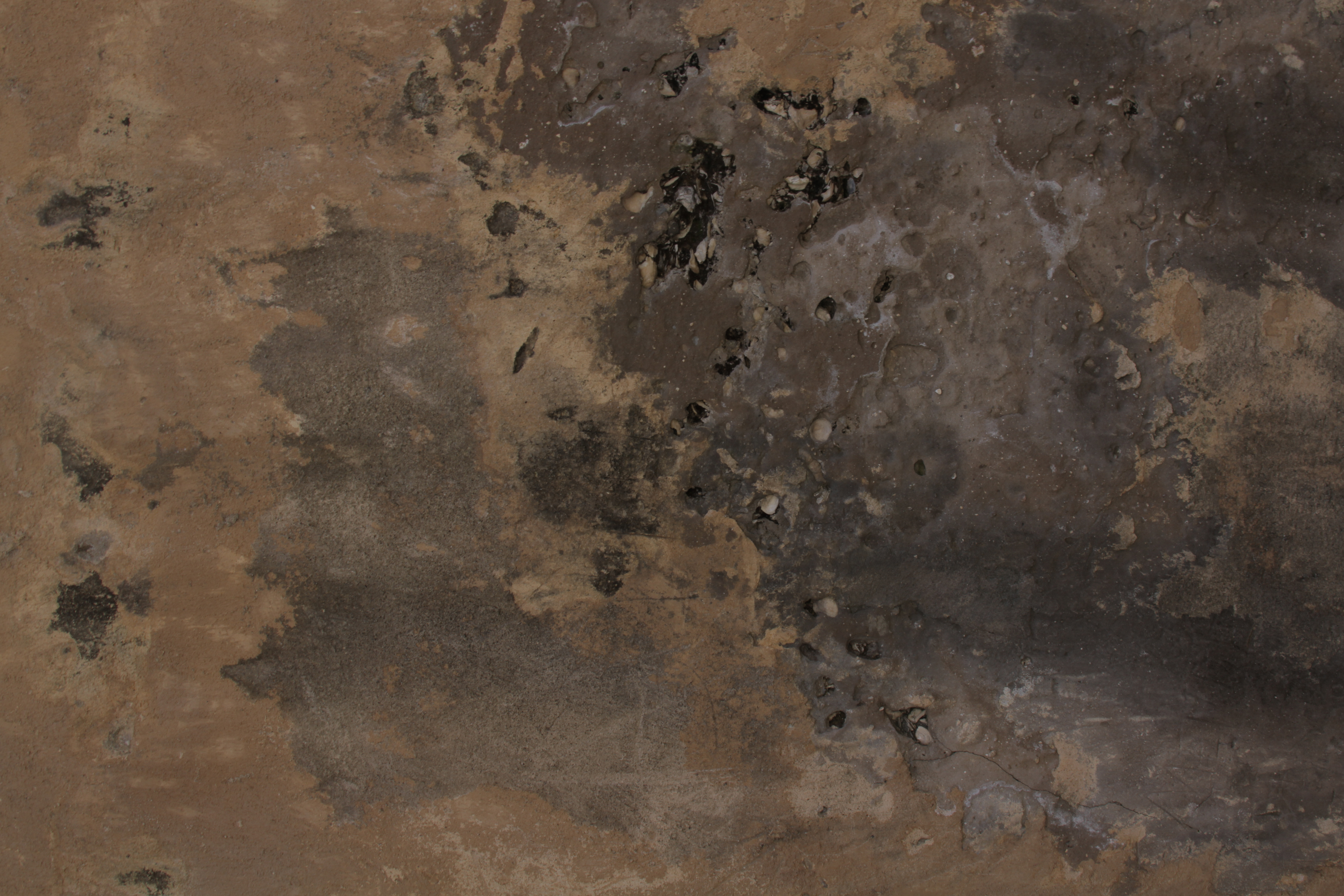 Brown Grunge Wall Texture - 14Textures