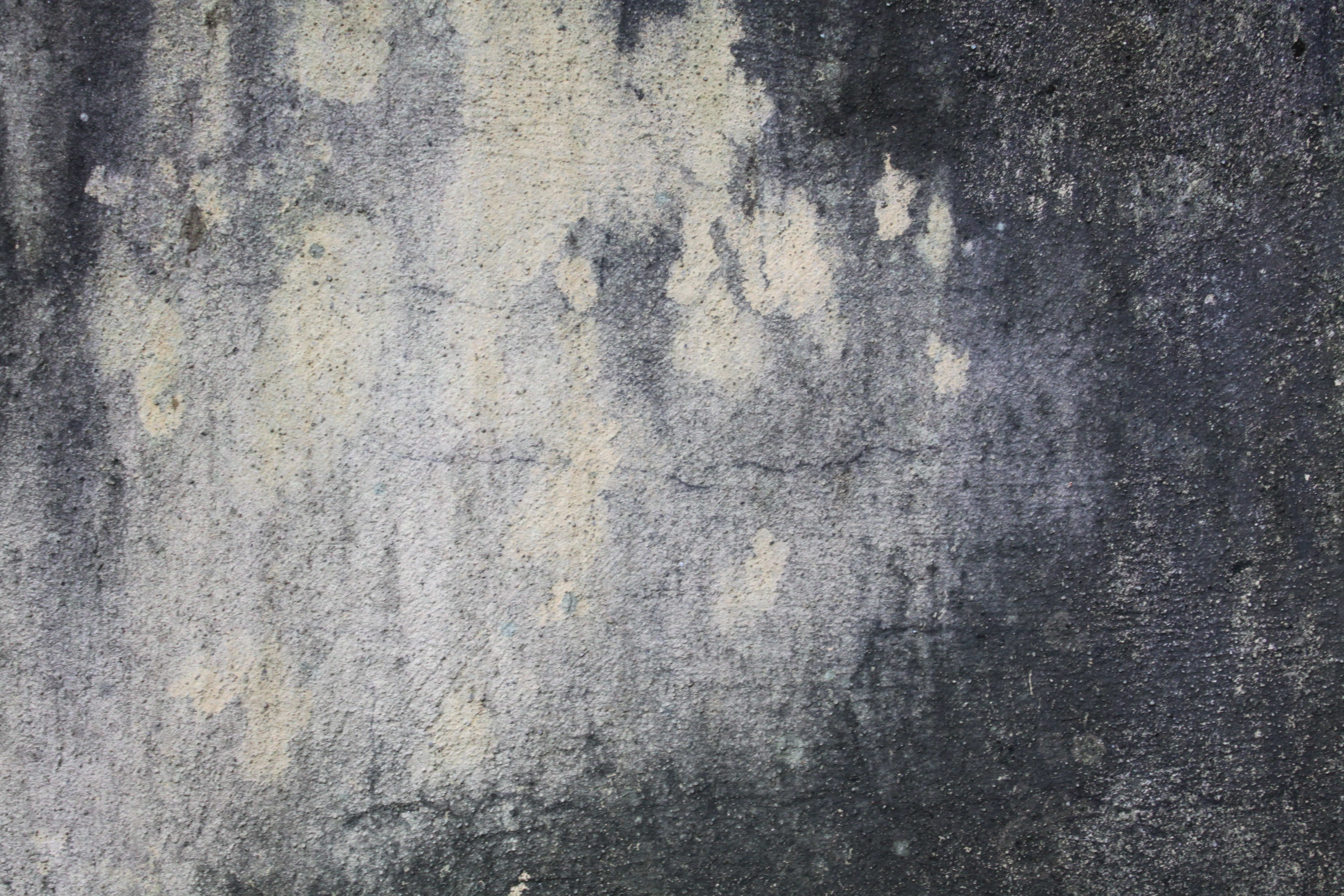 Free photo  Grunge wall texture  Dark Dry Grey Free 