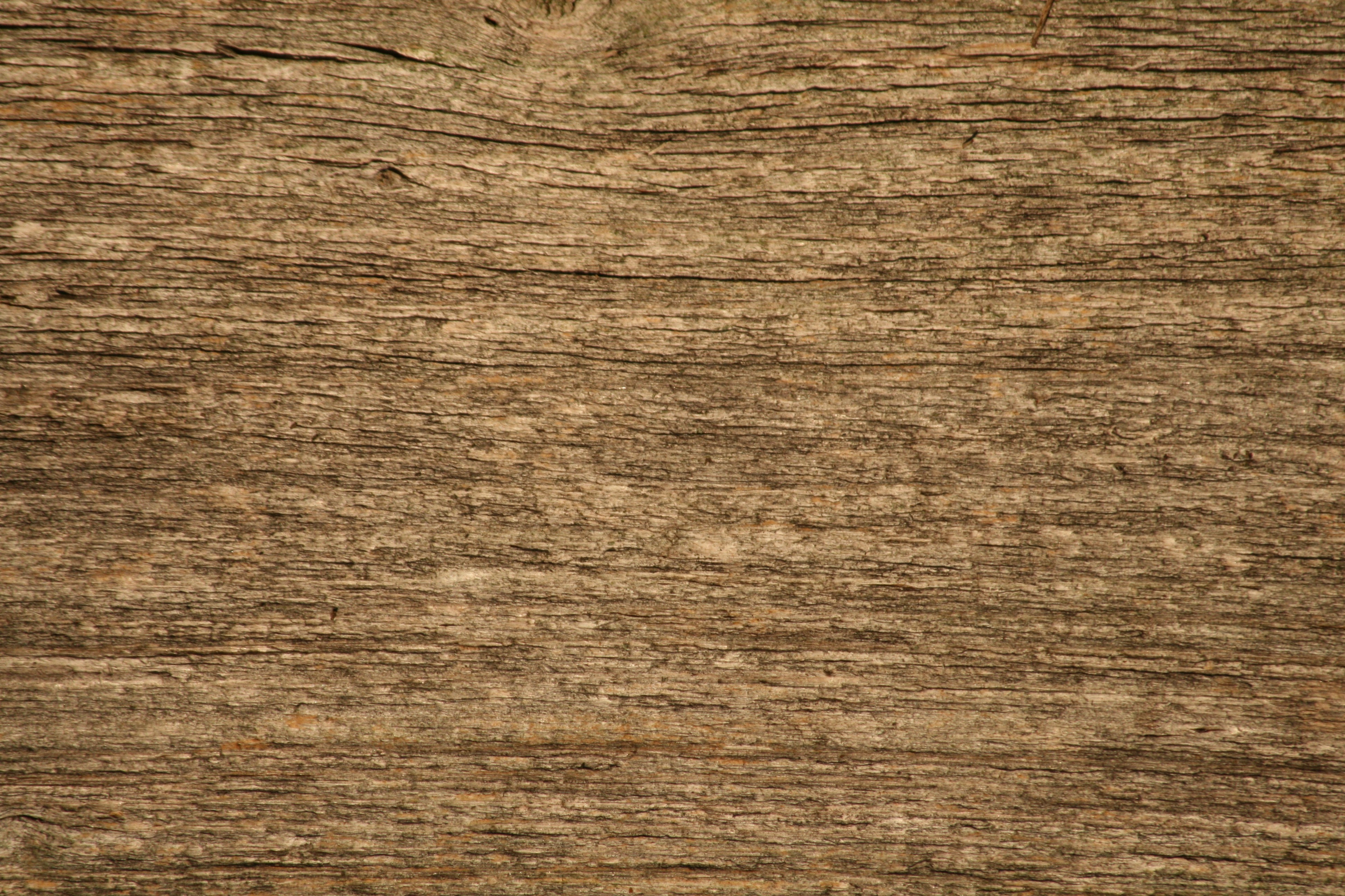 Wood Grain Textures | Texturemate.com