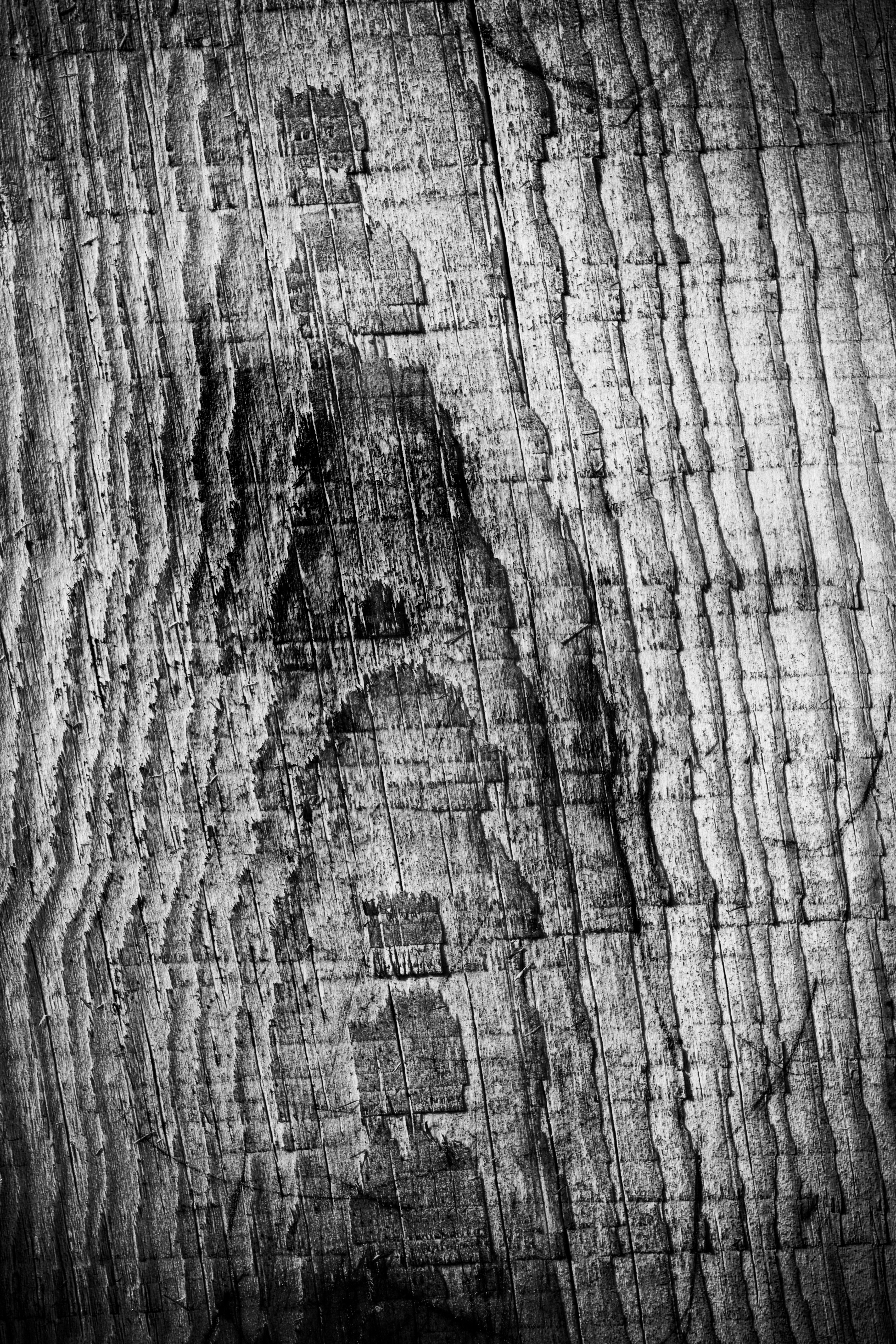 Grunge wood texture photo