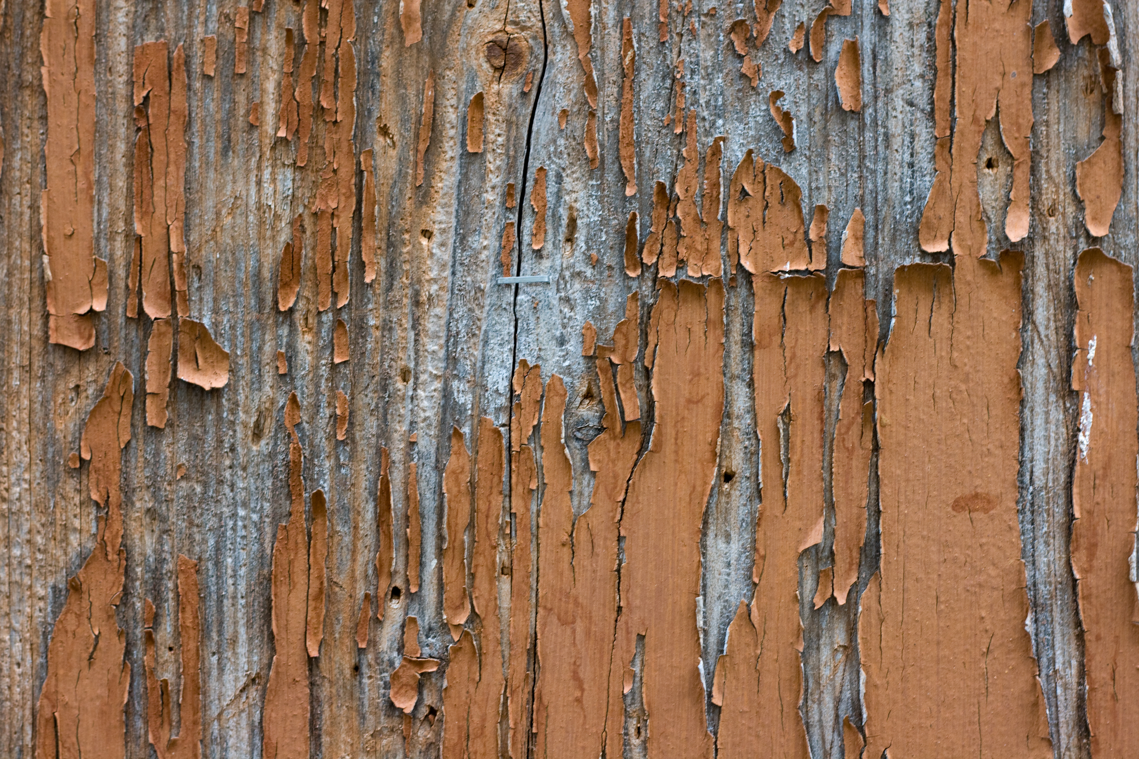 4 hi-res grunge textures of cracked paint | High Resolution Textures