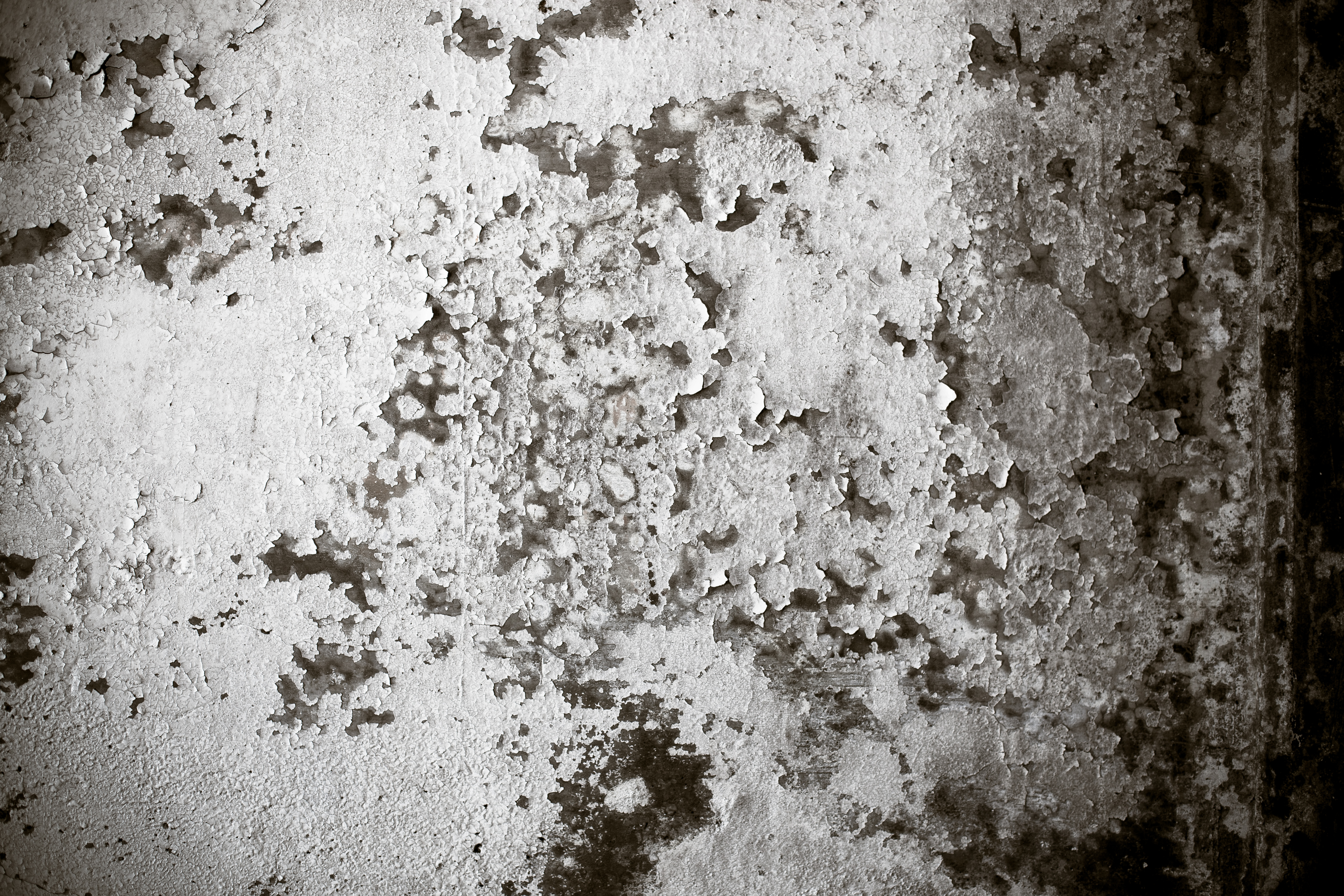 Grungy peeling wall texture photo