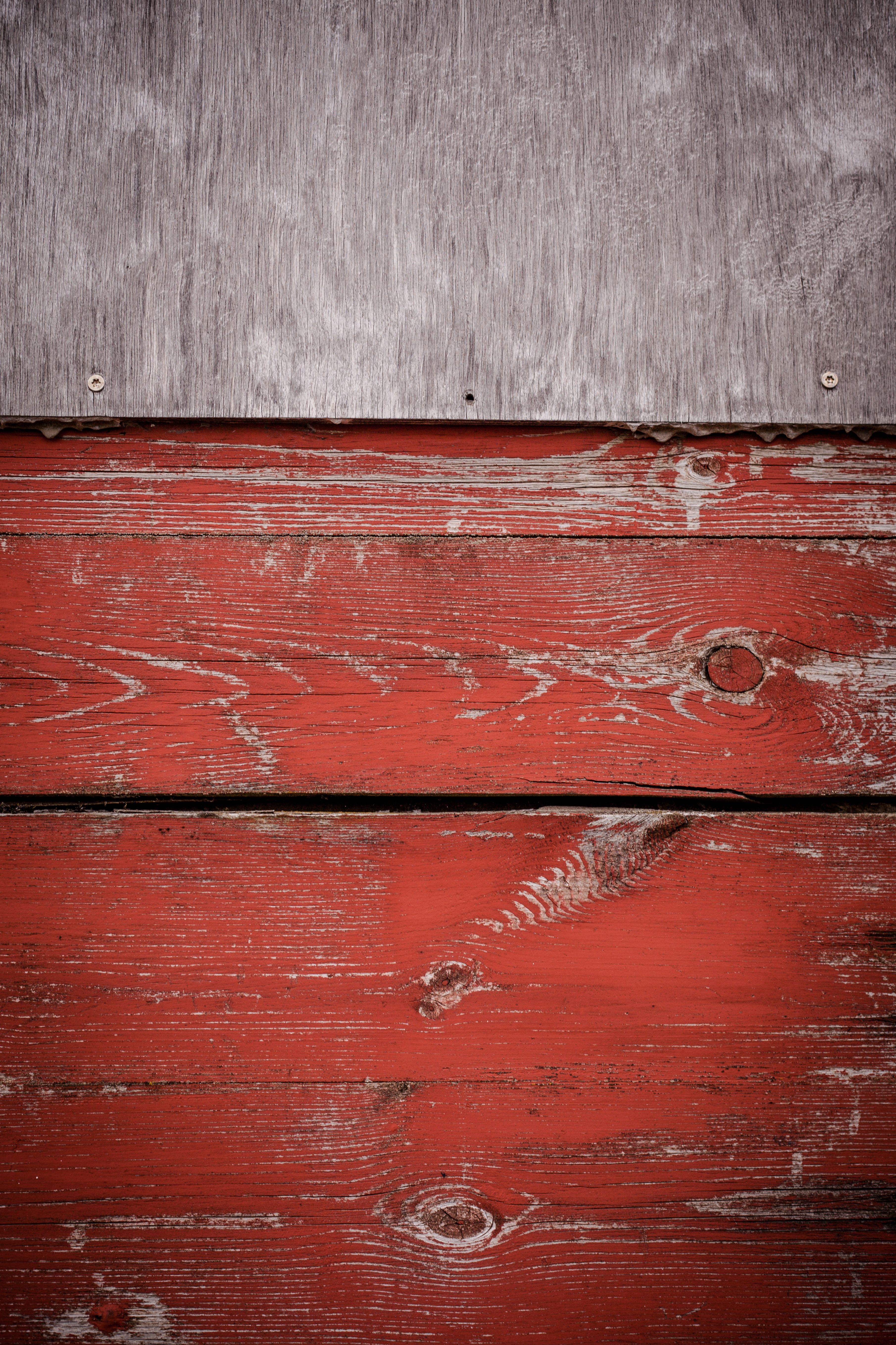 Grungy red wood texture photo