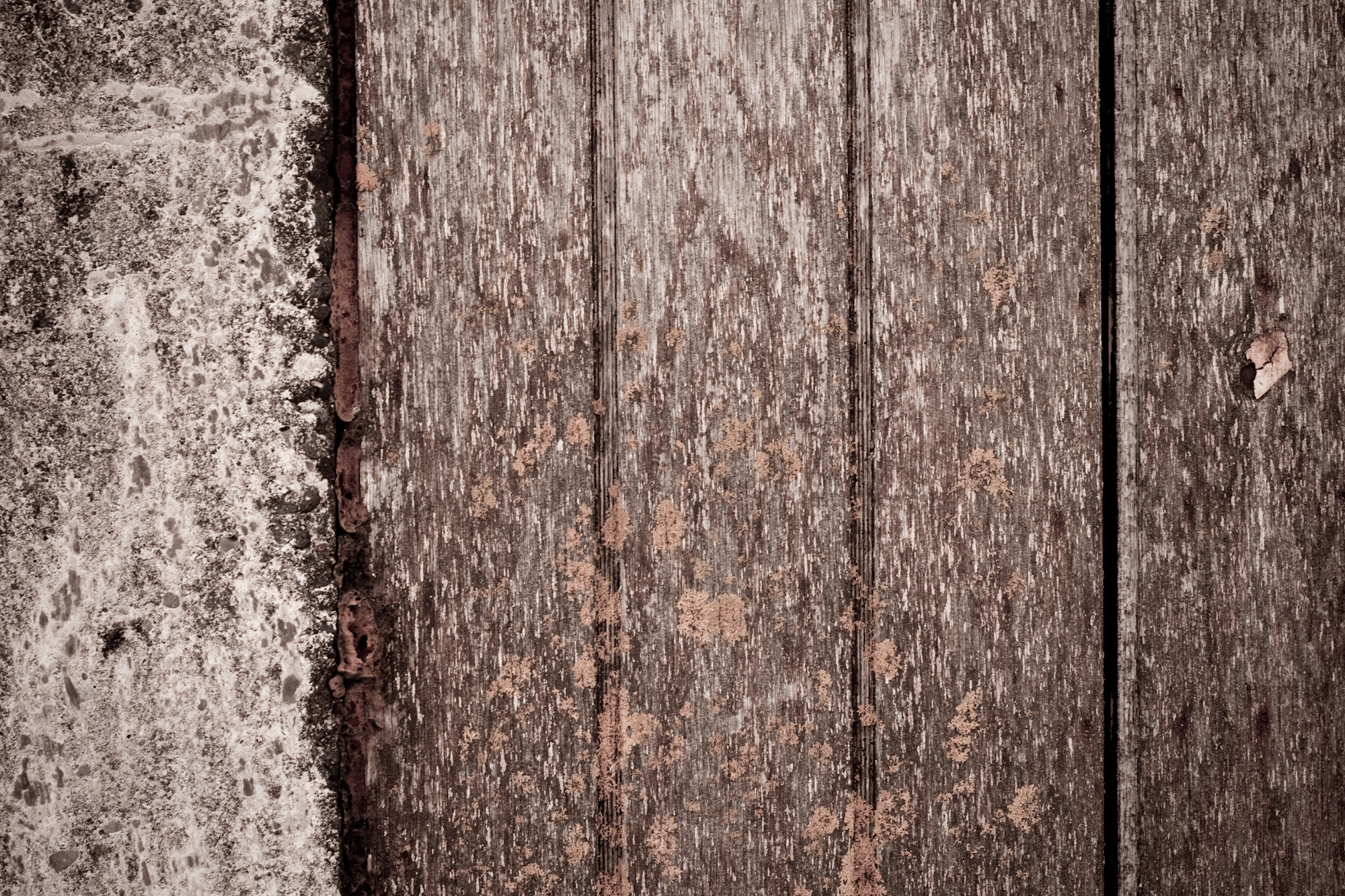 Grungy wood texture photo