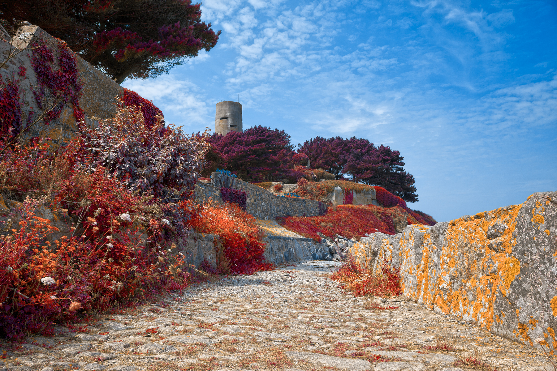 Guernsey Scenery - Autumn Warm HDR, Angle, Purple, Scene, Rocks, HQ Photo