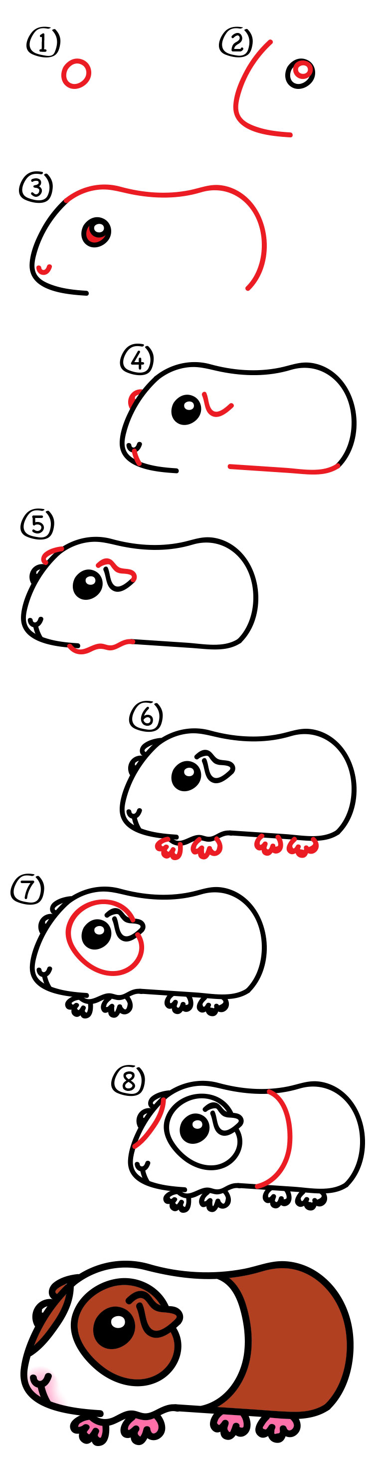 How To Draw A Guinea Pig - Art For Kids Hub -