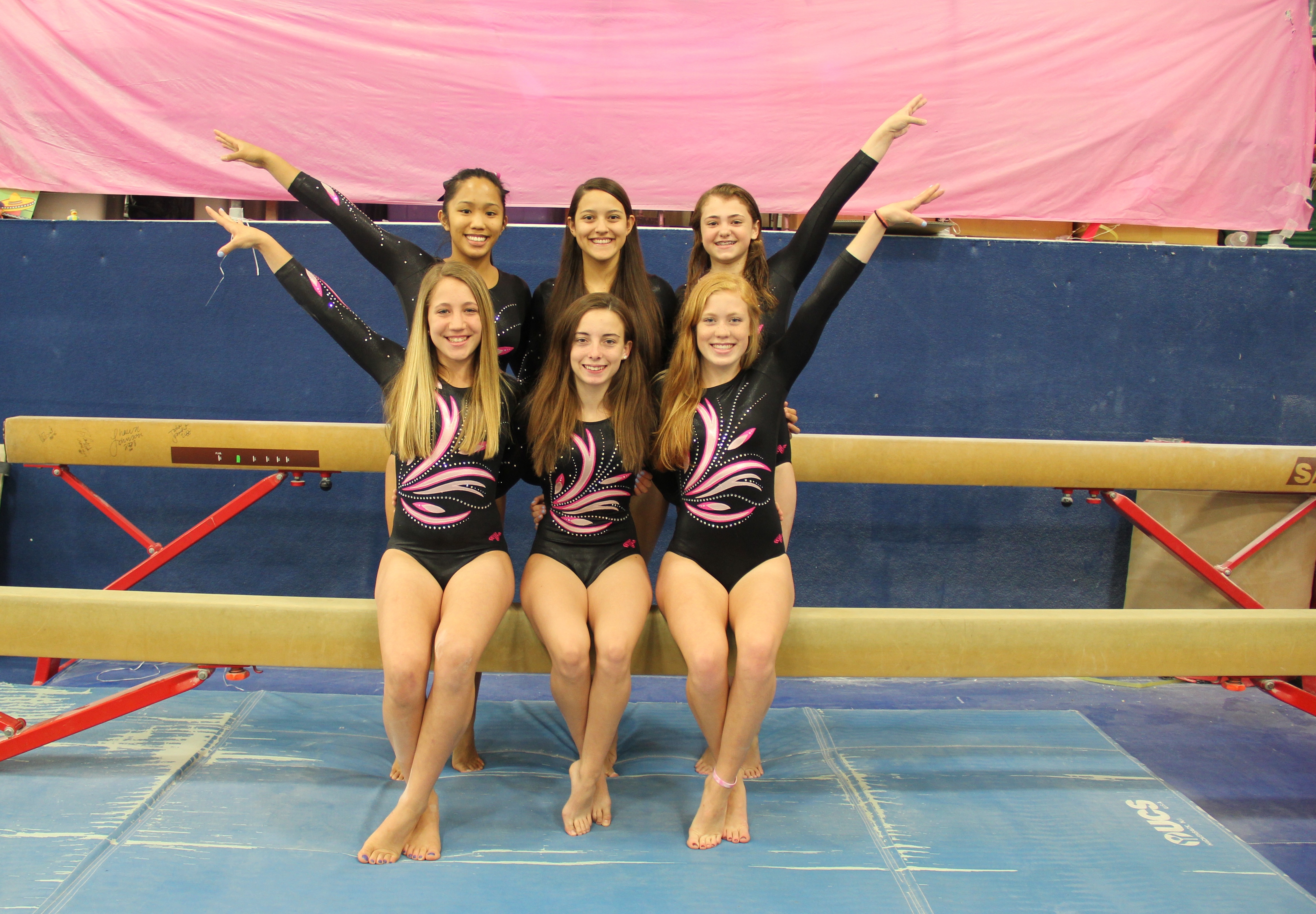 The Madison Area YMCA's Rosettes at Nationals: So Much More Than A ...