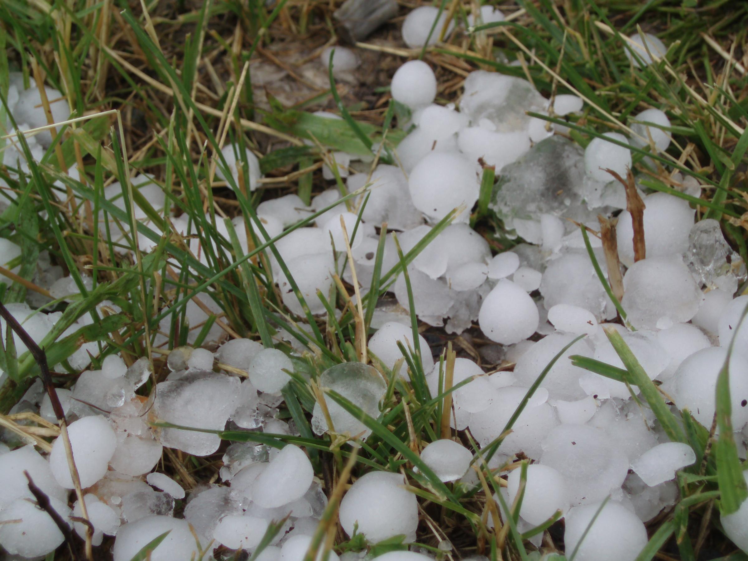 Michigan farmers can get loan help after hail storms | Michigan Radio