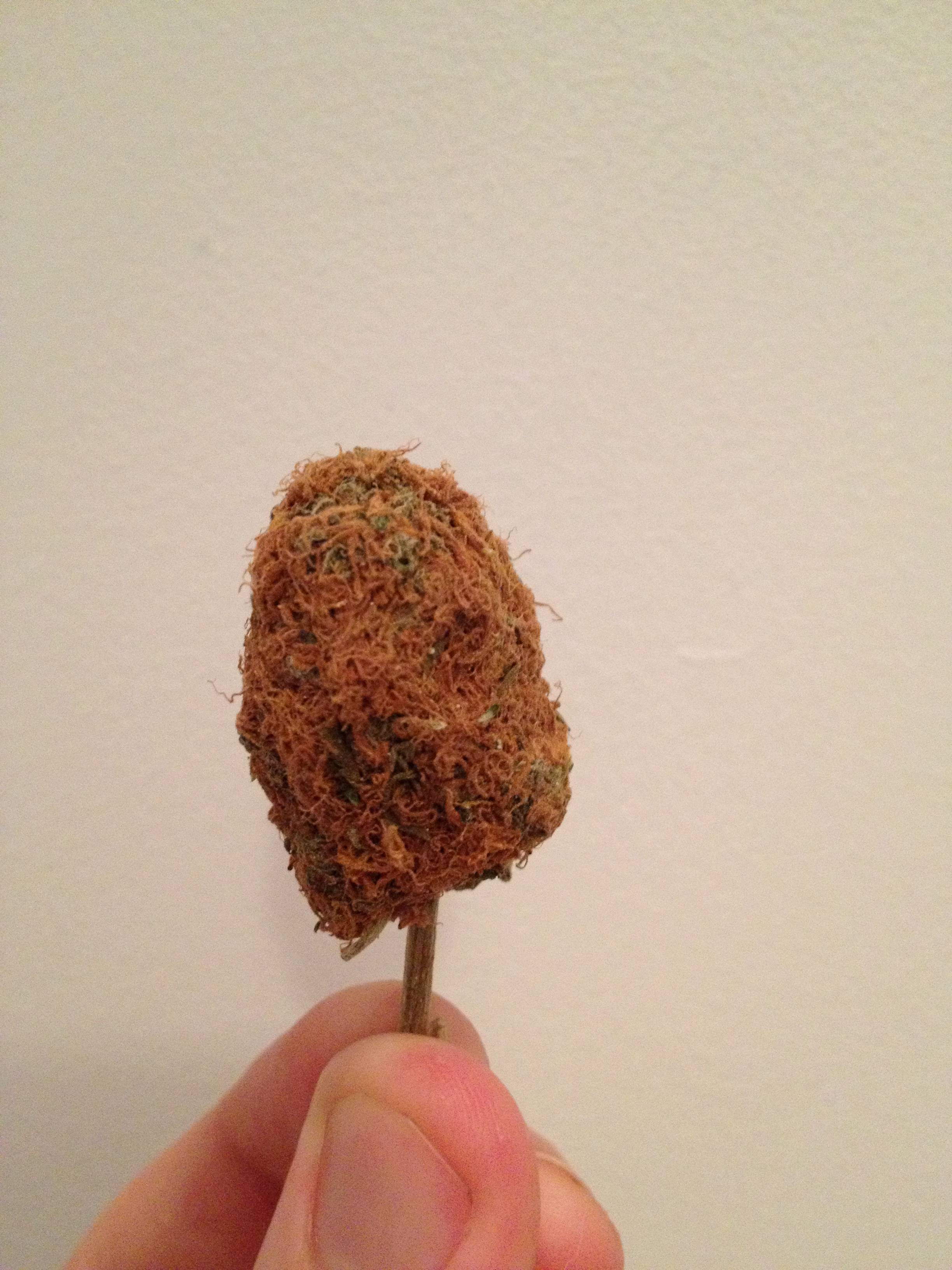 I just picked up a half oz, and the buds are HAIRY AS FUCK. Is this ...