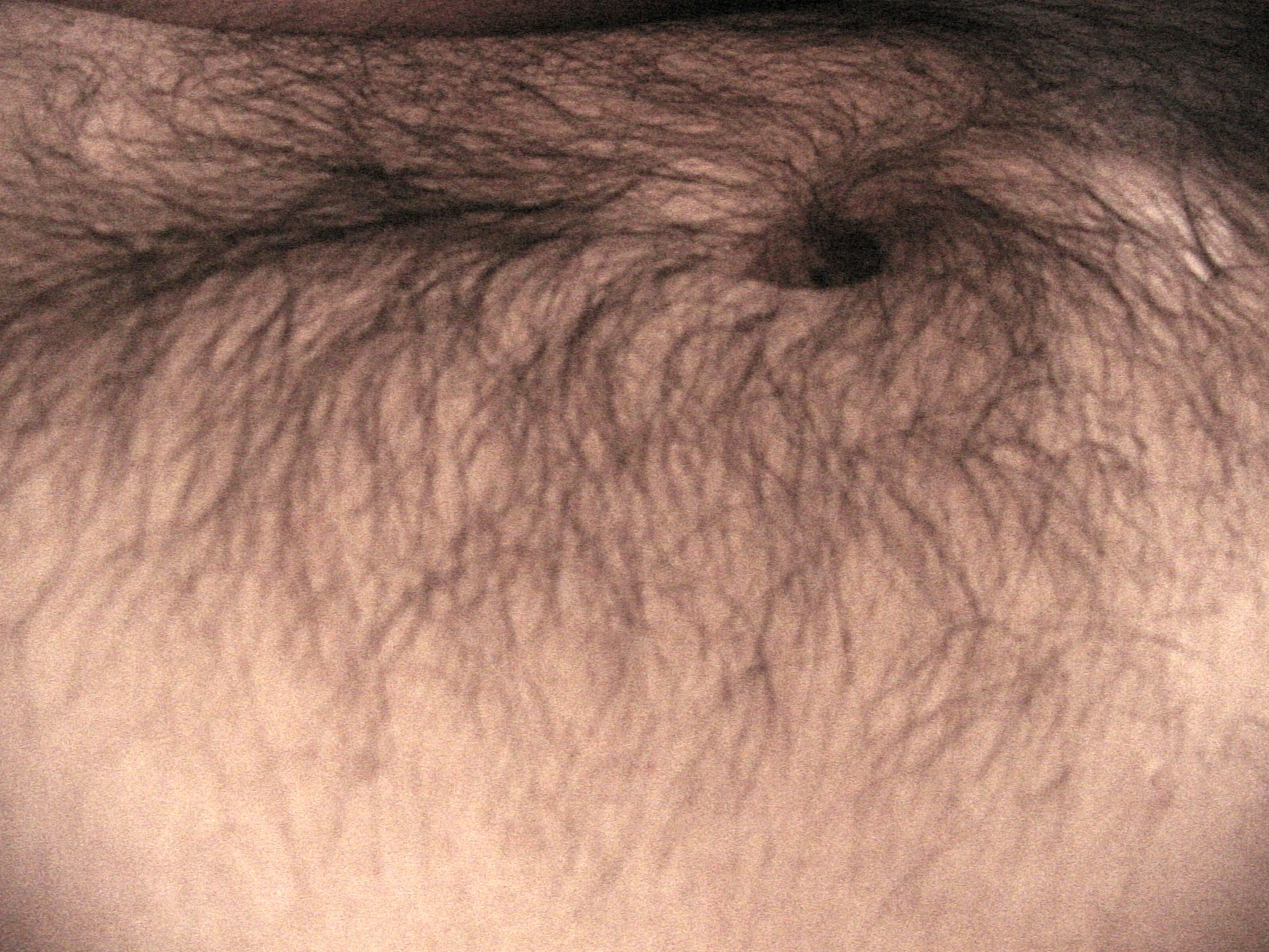 People: skin-chest-hairy-male-human-adult-belly-button-