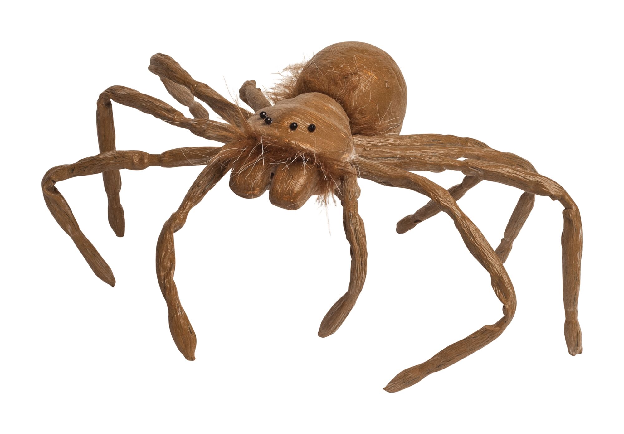 Brown Hairy Spider - Tragic Mountain