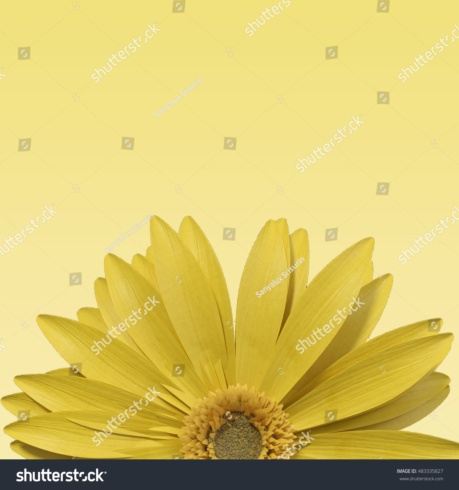 3d Rendering Half Yellow Gerbera Daisy Stock Illustration 483335827 ...