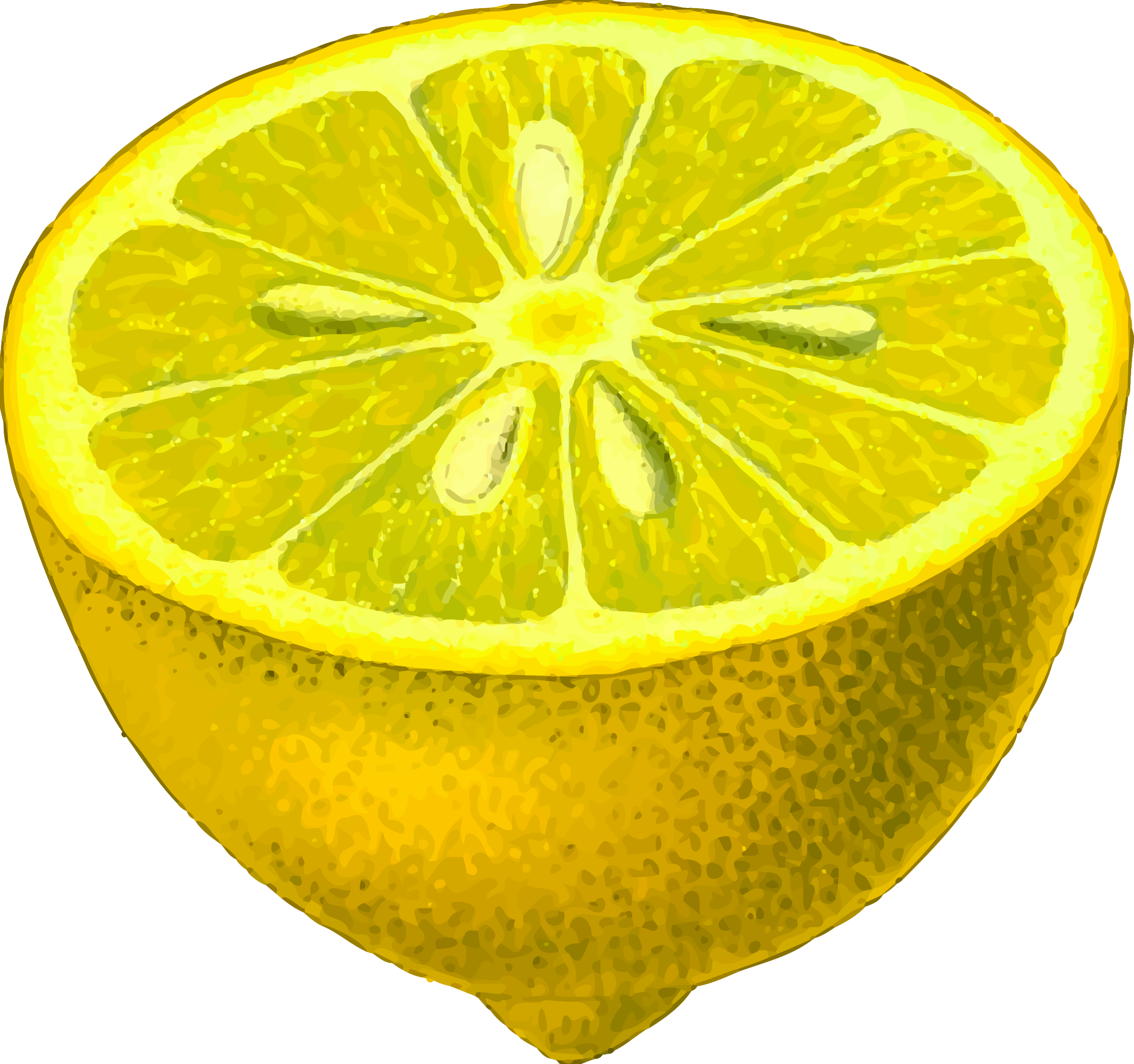 Half-lemon (detailed) Icons PNG - Free PNG and Icons Downloads