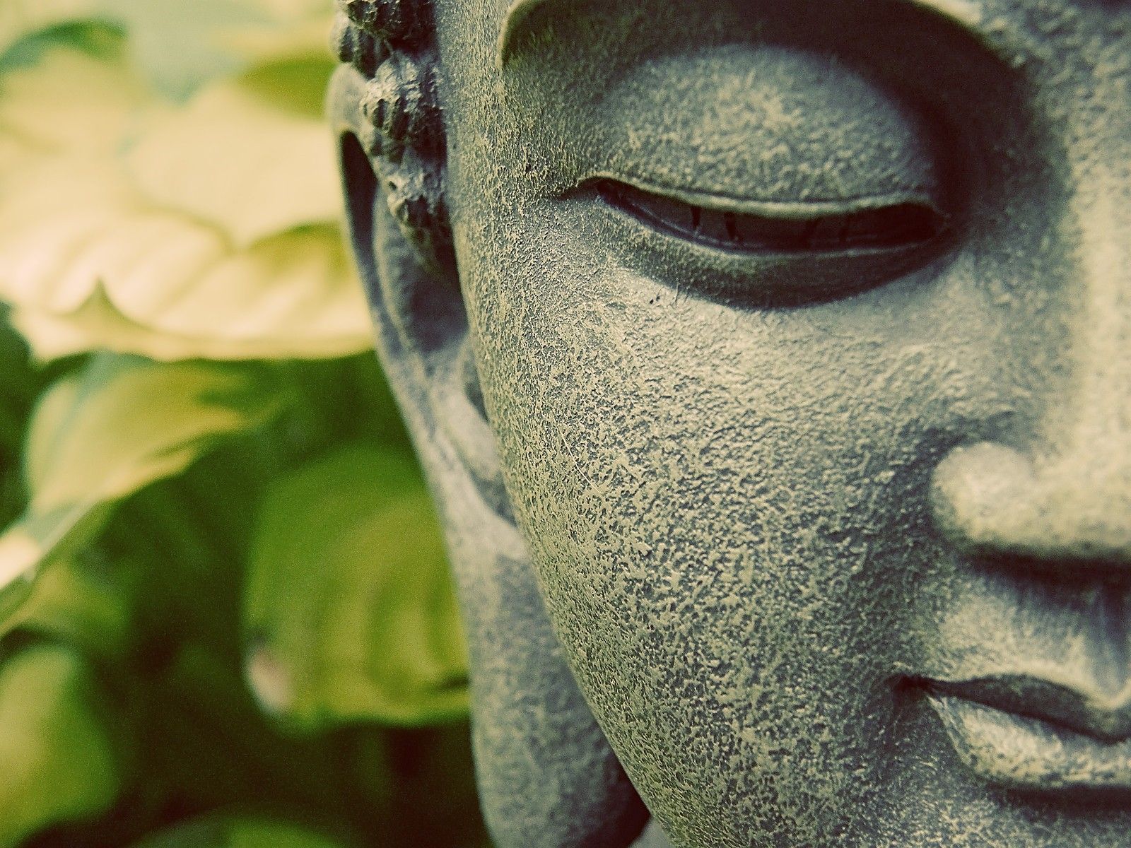 Breathing Meditation -- A Guided Meditation - YouTube (9:34 ...