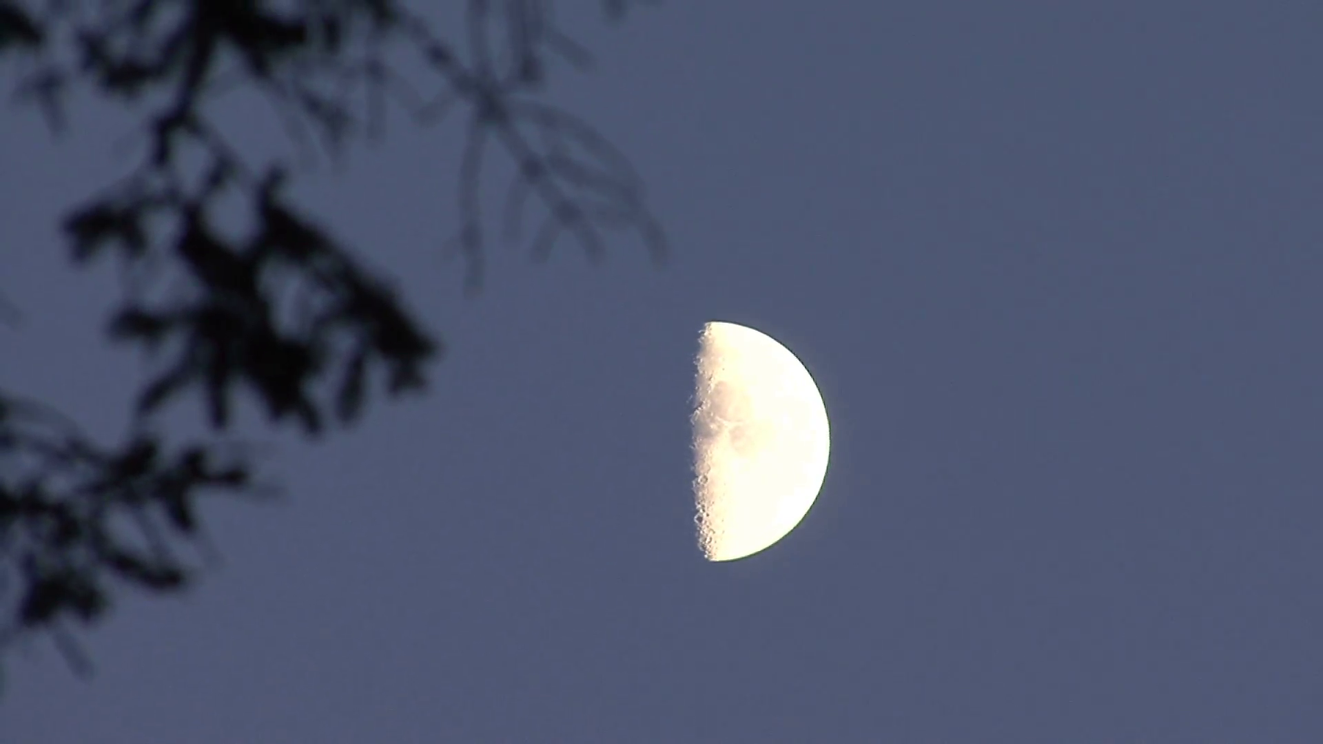 Half Moon in Oregon Night Sky Cropped Stock Video Footage - Videoblocks