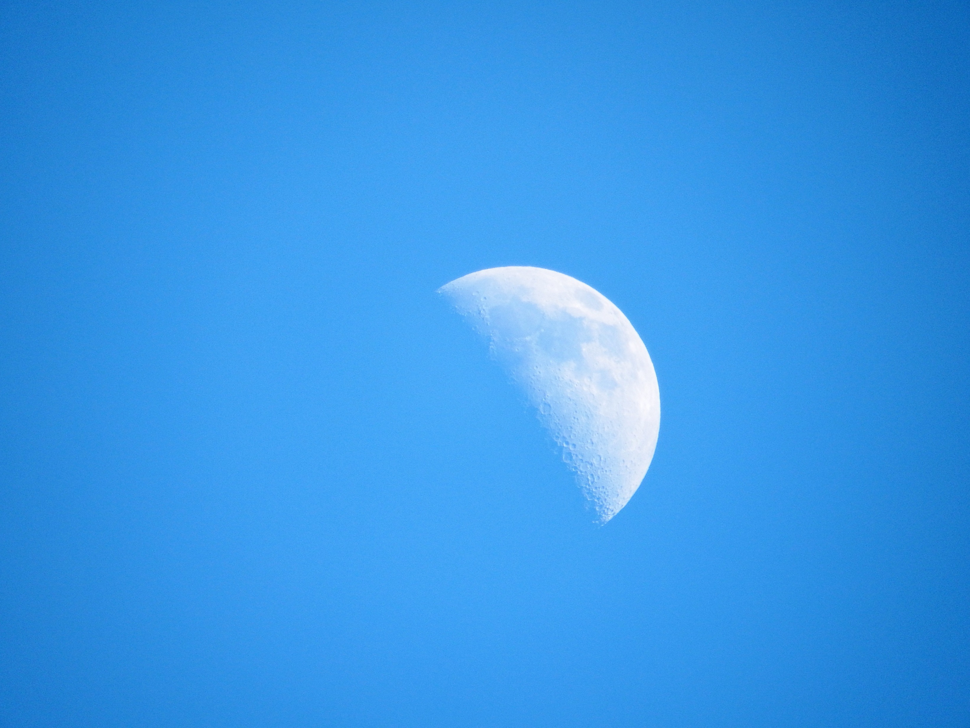 Half moon in daylight photo