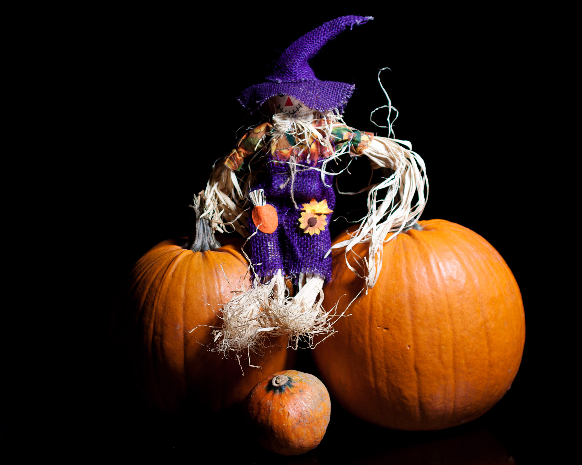 Halloween, Autumn, Scarecrow, Lantern, Light, HQ Photo