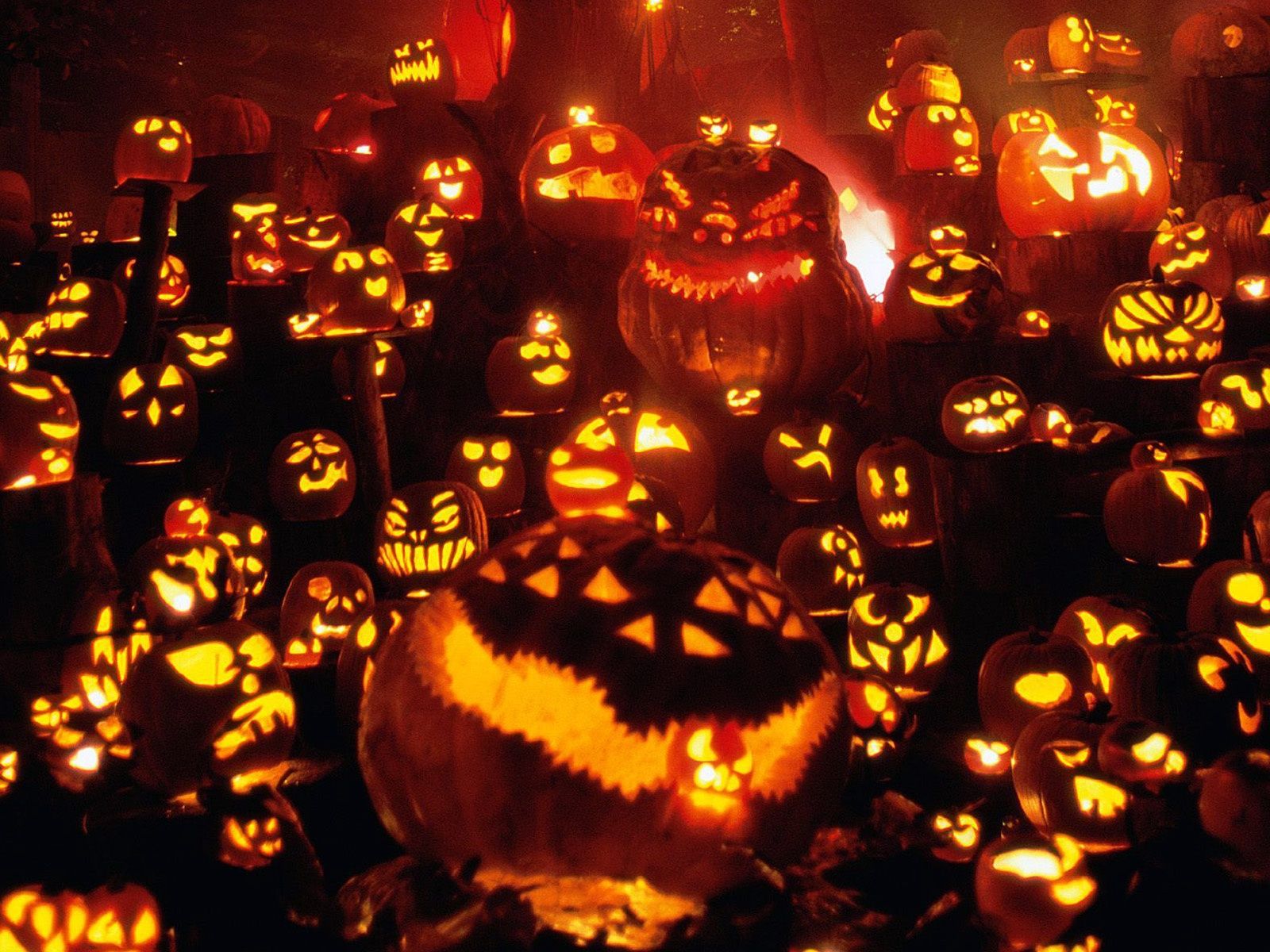 Halloween Pumpkin Lights | Halloween Lights | Pinterest | Pumpkin lights