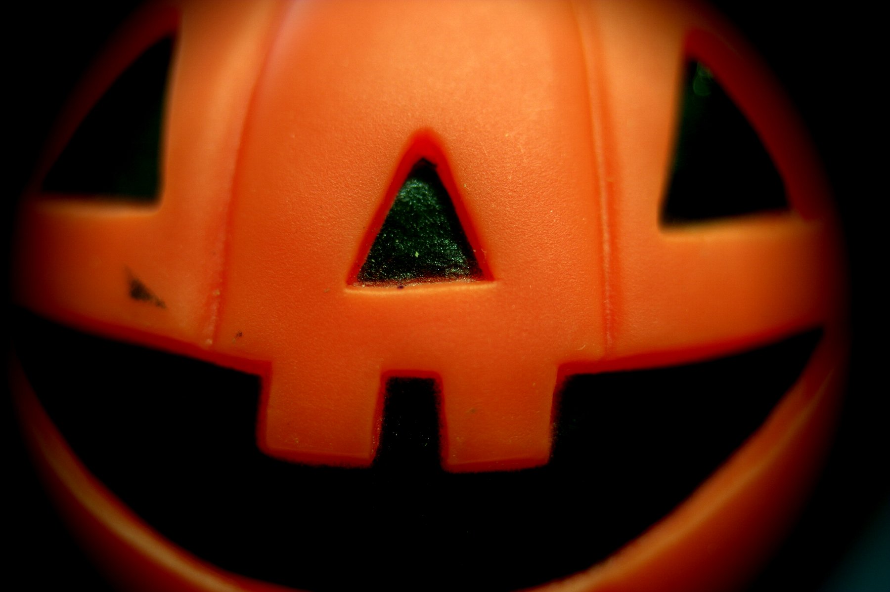 Halloween pumpkin photo