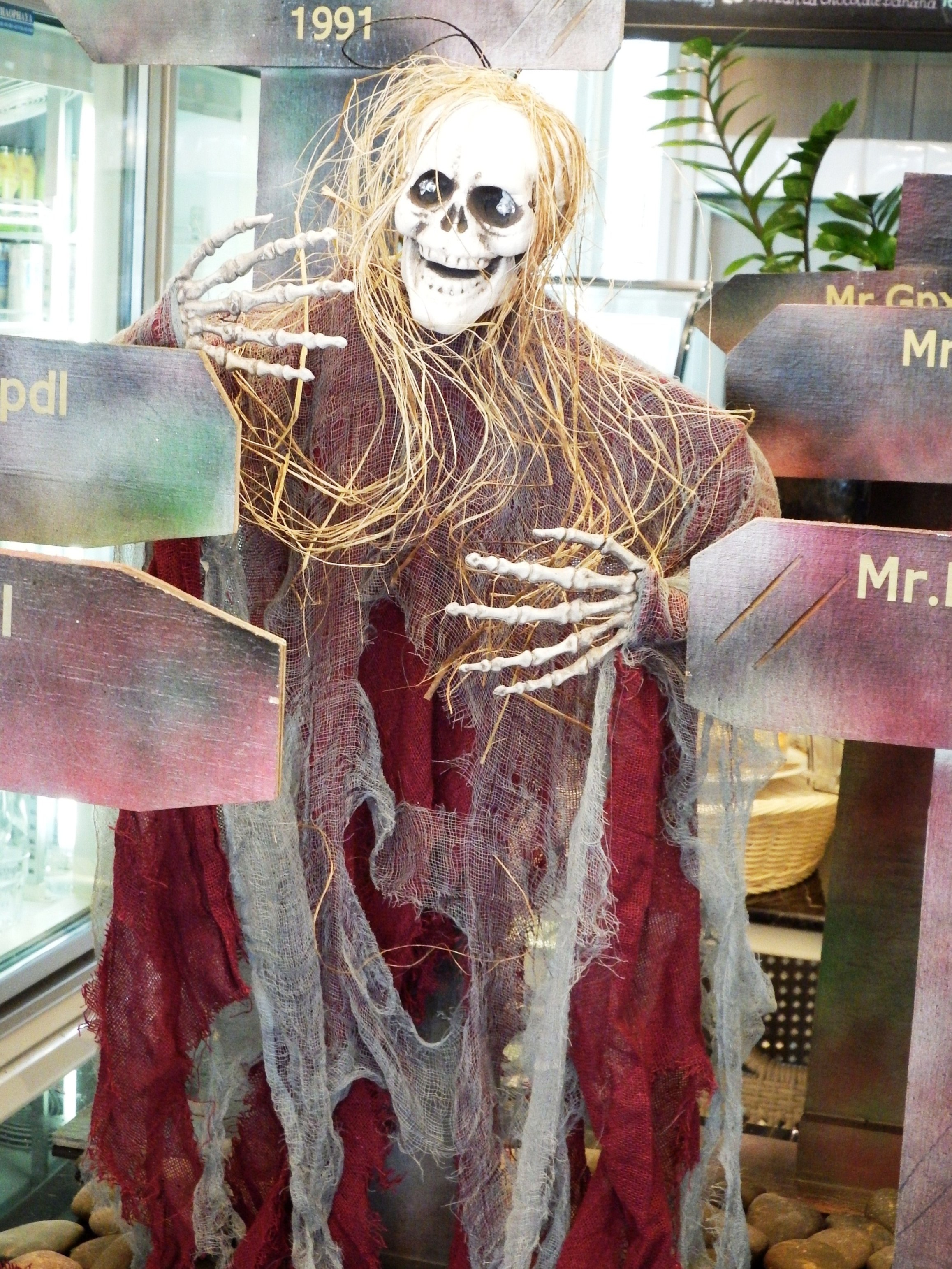 Halloween skeleton photo