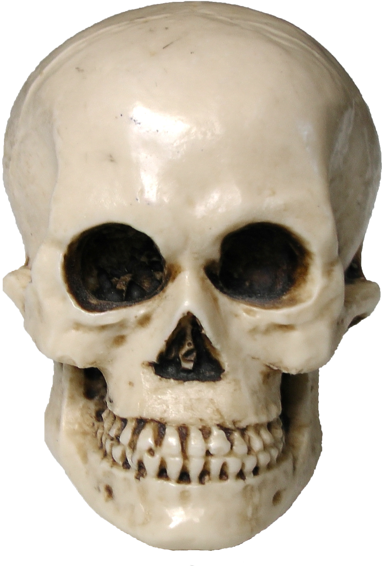 Free Scary Halloween Skull PNG Image