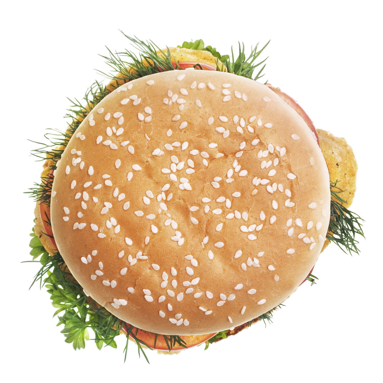 Hamburger photo