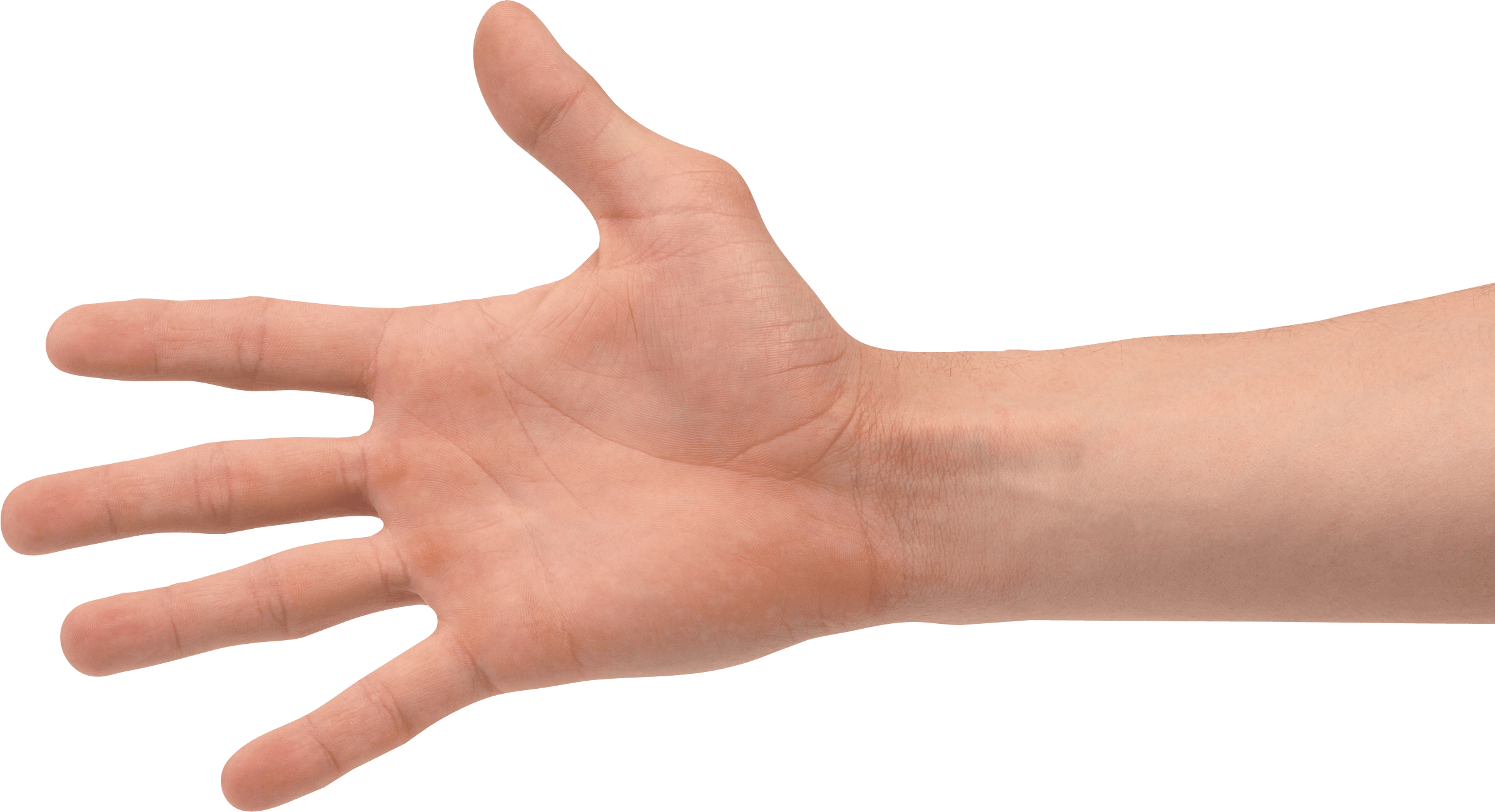 Hands PNG Transparent Hands.PNG Images. | PlusPNG