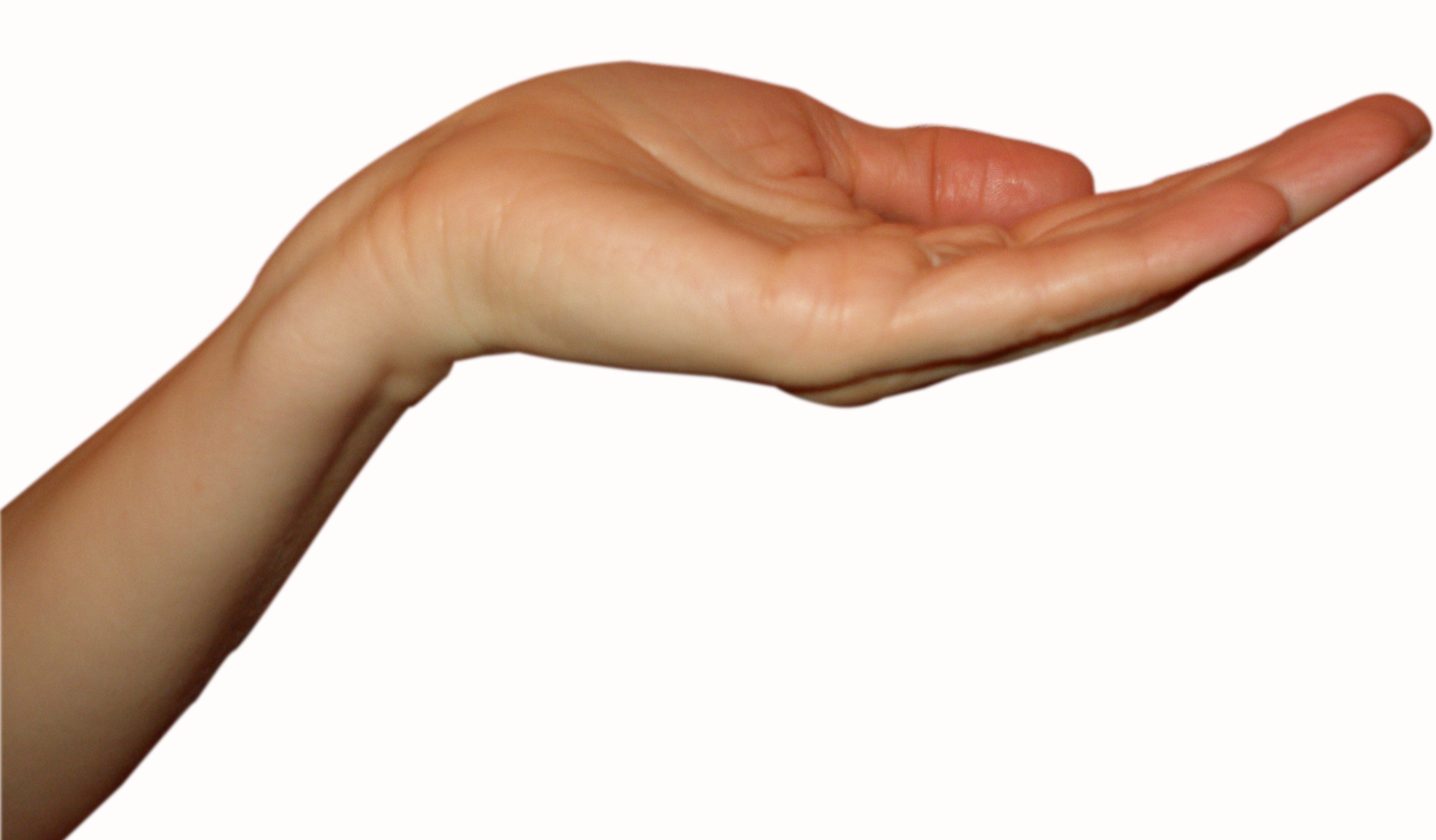 Common Problems of the Hand & Wrist | Wilmington Health