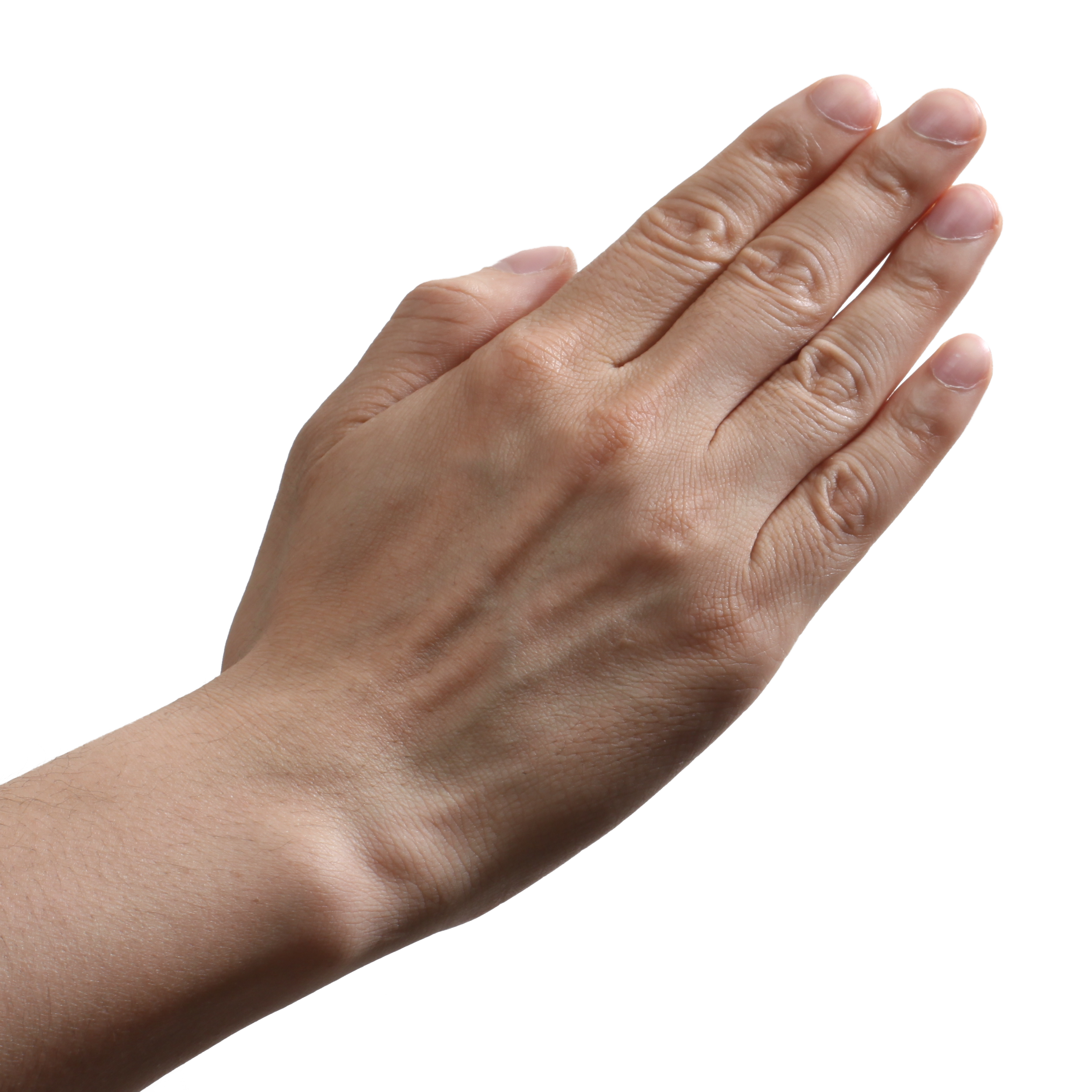 Hands png, hand image picture #44749 - Free Icons and PNG Backgrounds