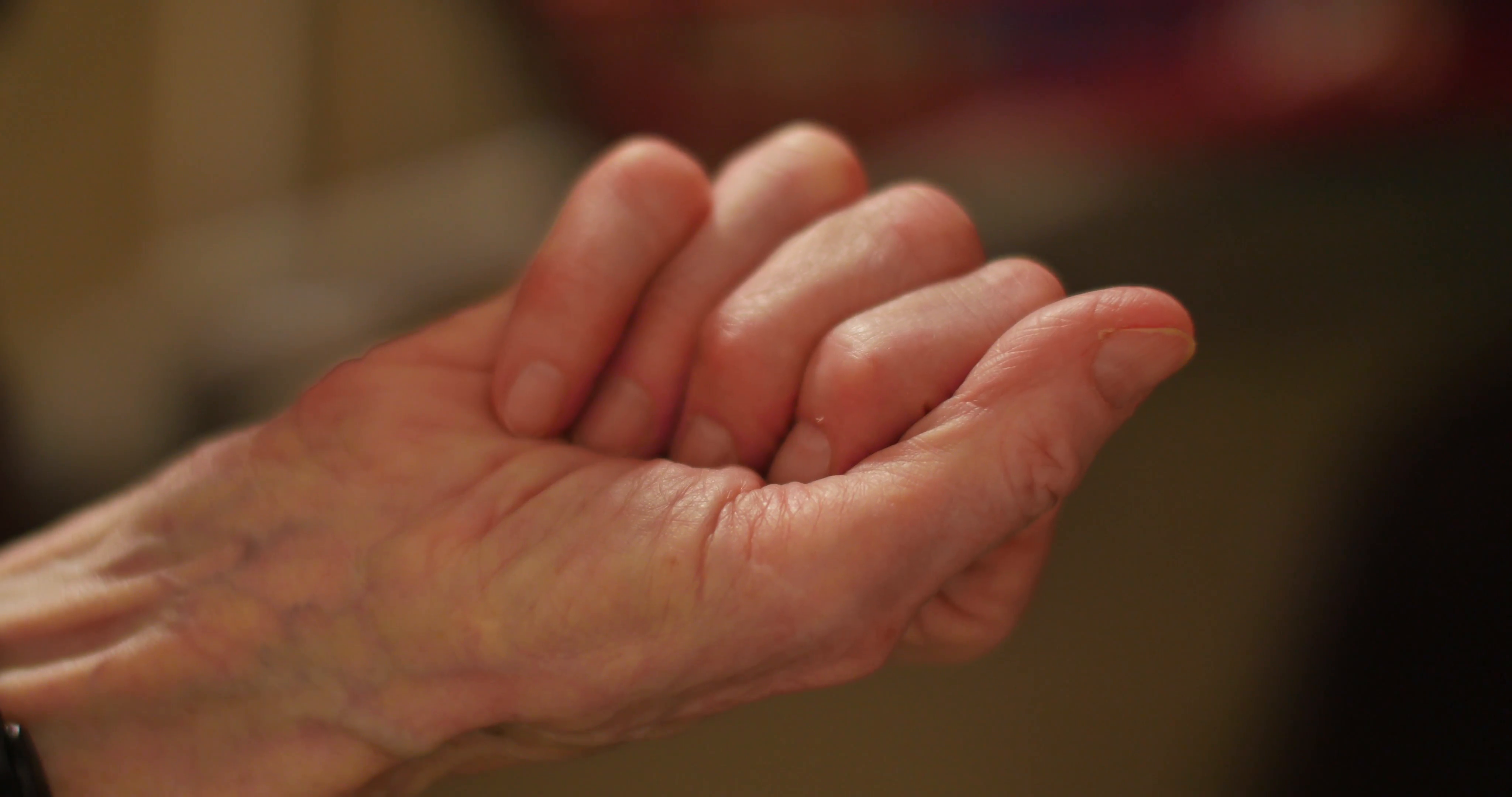 Old woman's hand holding two drug pills. Closeup, shallow DOF. Stock ...