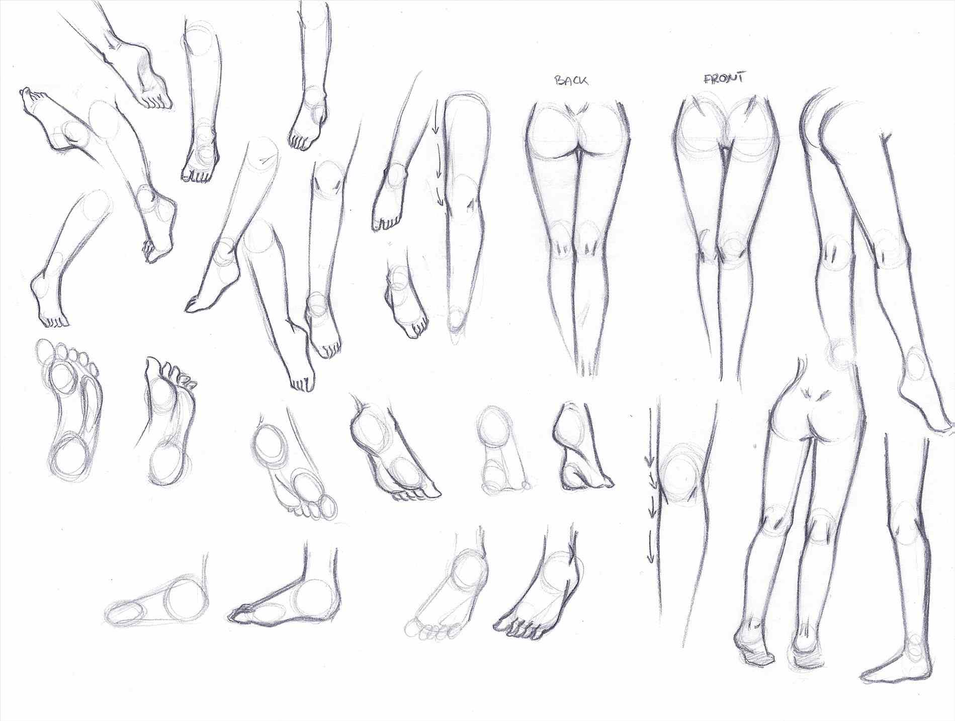 Hand Figure Drawing at GetDrawings.com | Free for personal use Hand ...