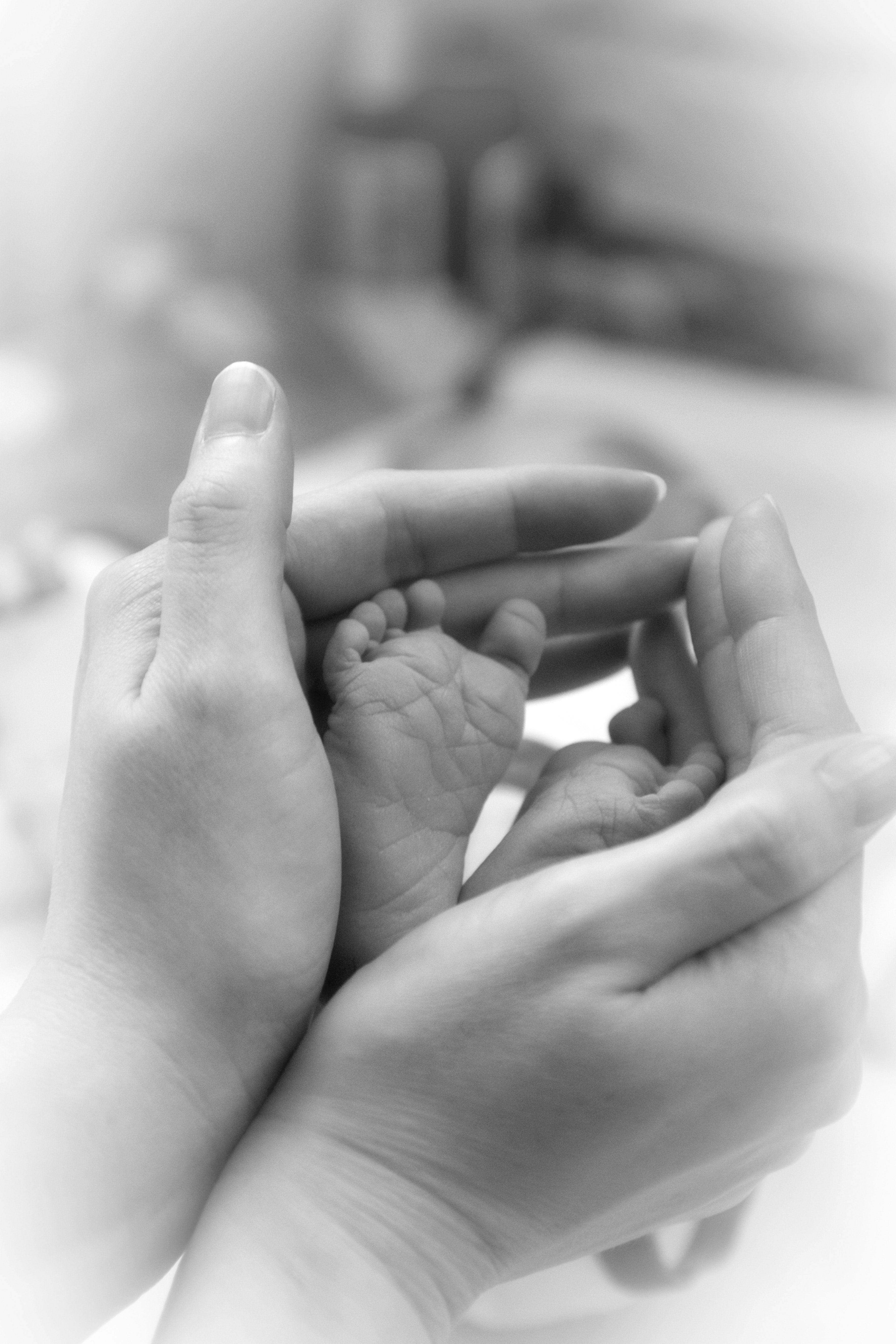 Hand holding feet of baby photo