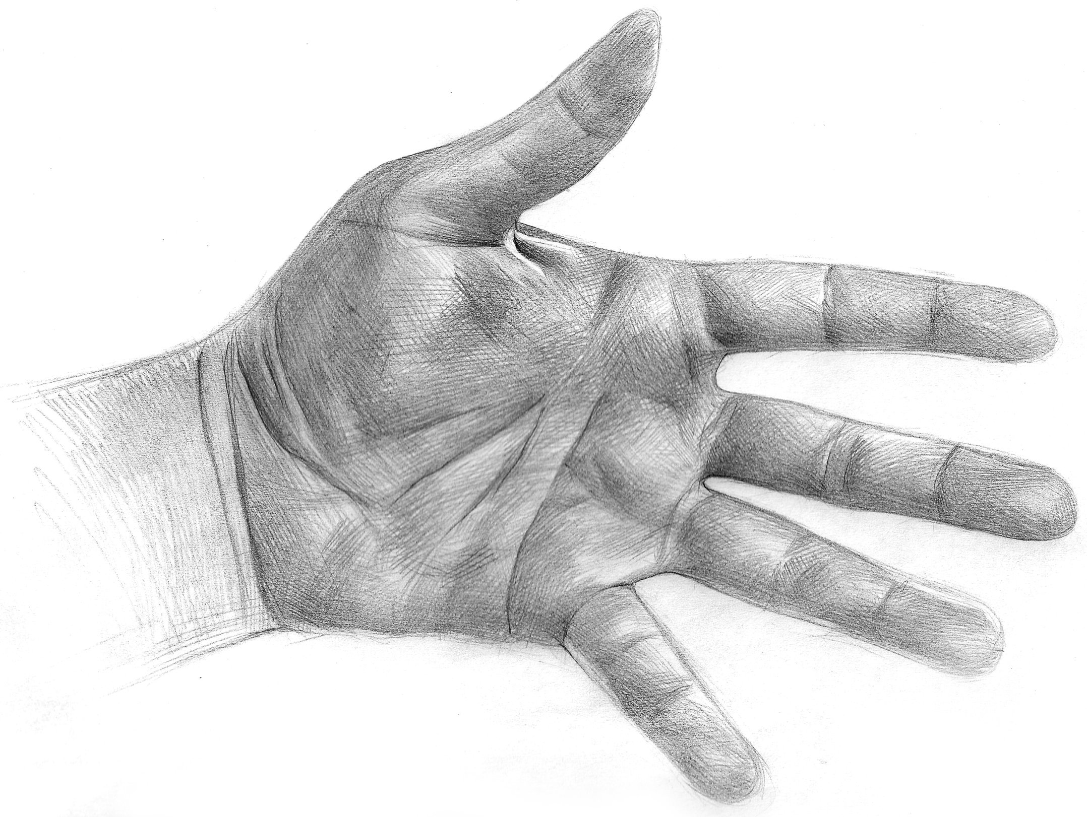 Hand Sketch by LuisSanchez on DeviantArt