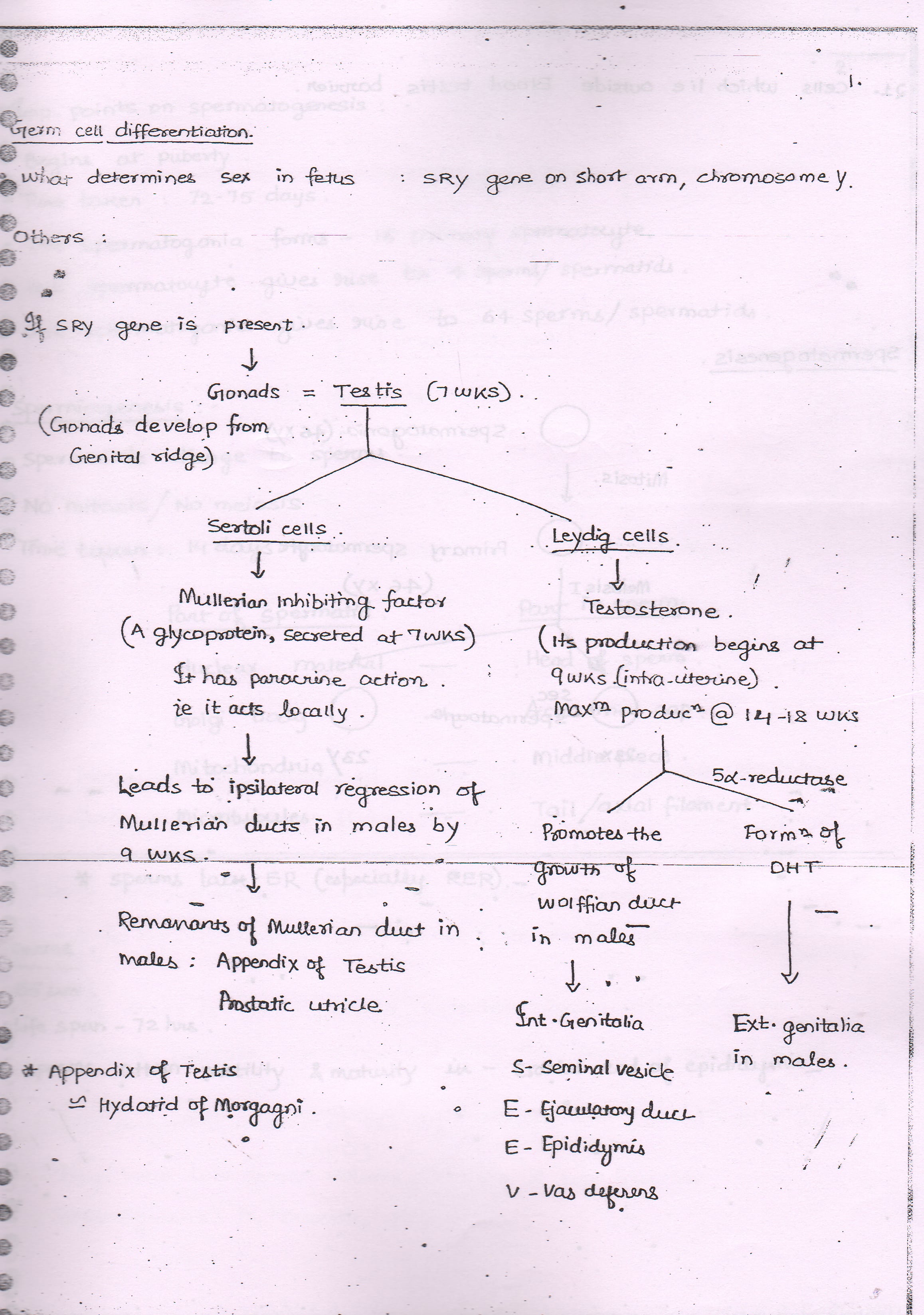 Obstetrics & Gynecology Handwritten Notes by Dr.Arora | Medical ...