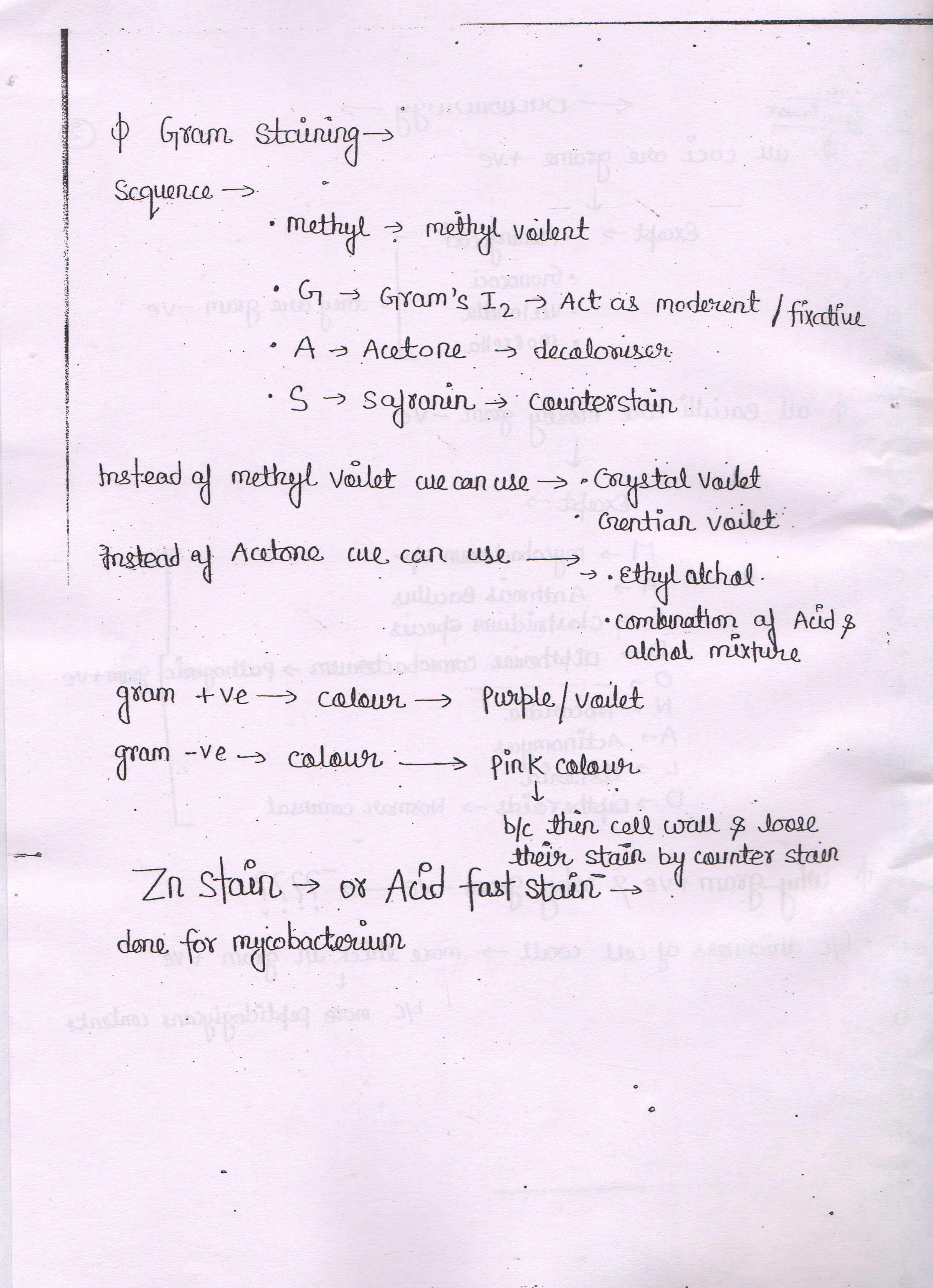 Microbiology Handwritten Notes by Dr. Panwar | Medical Bookstore